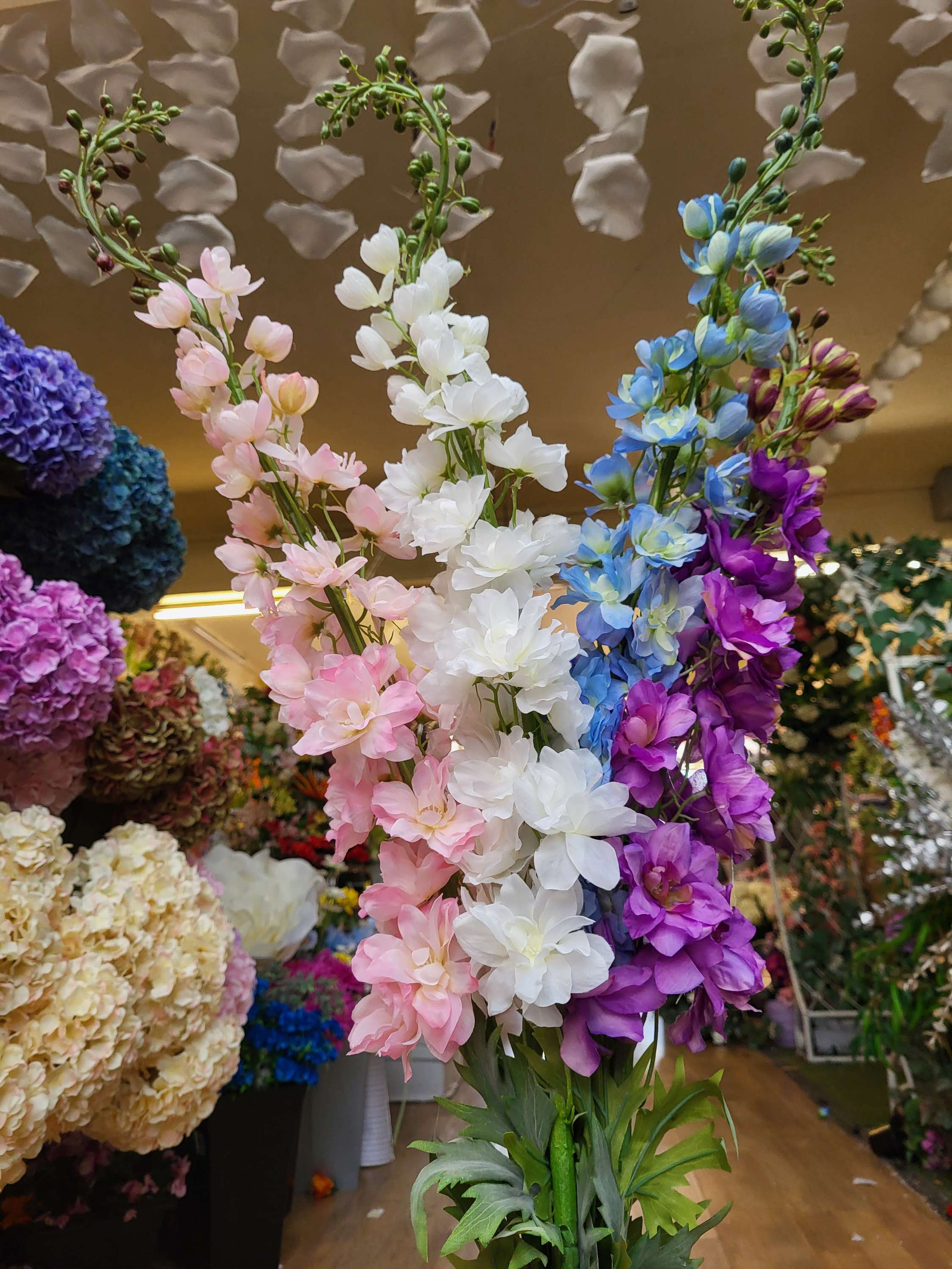 Giant delphiniums!! 137cm tall! - 4 colours available image 14