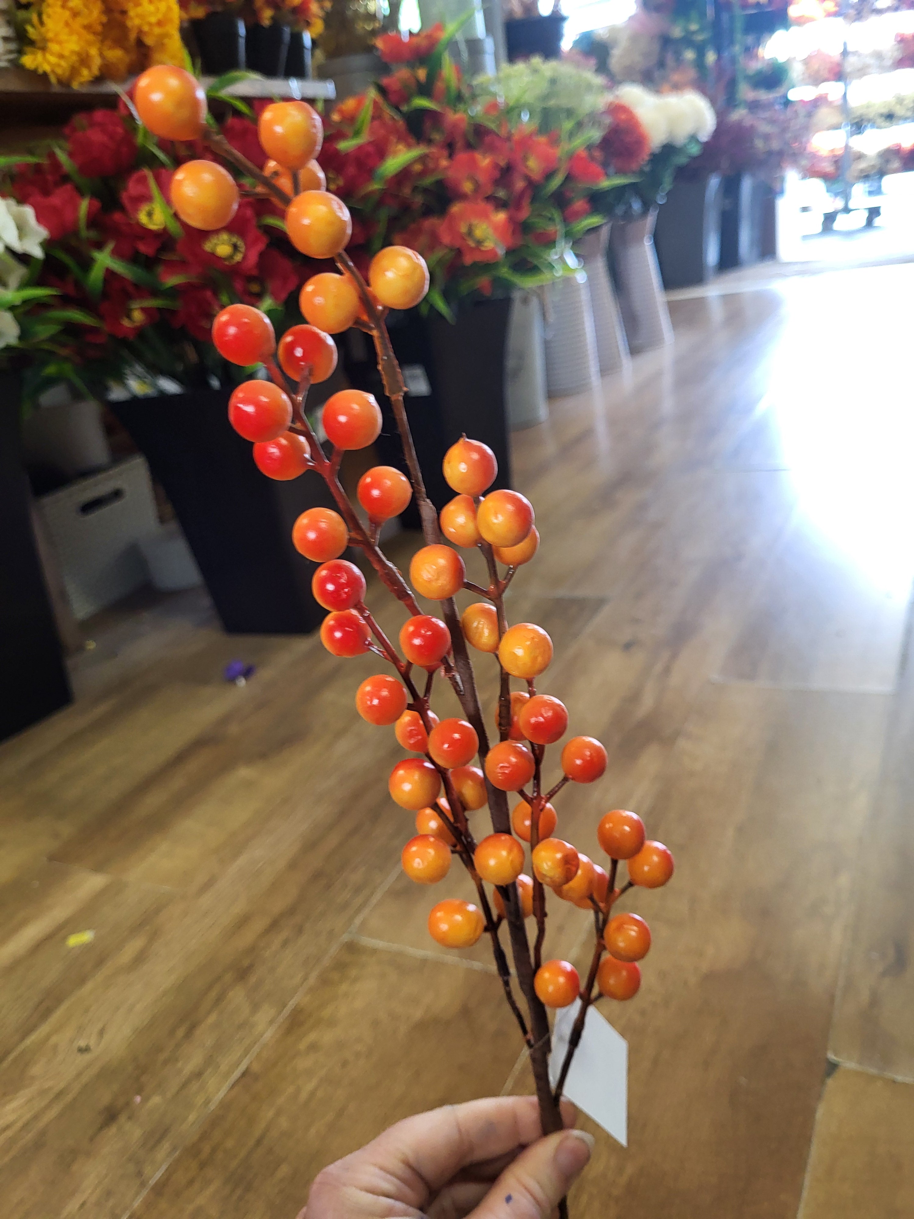 Orange berry stem image 1