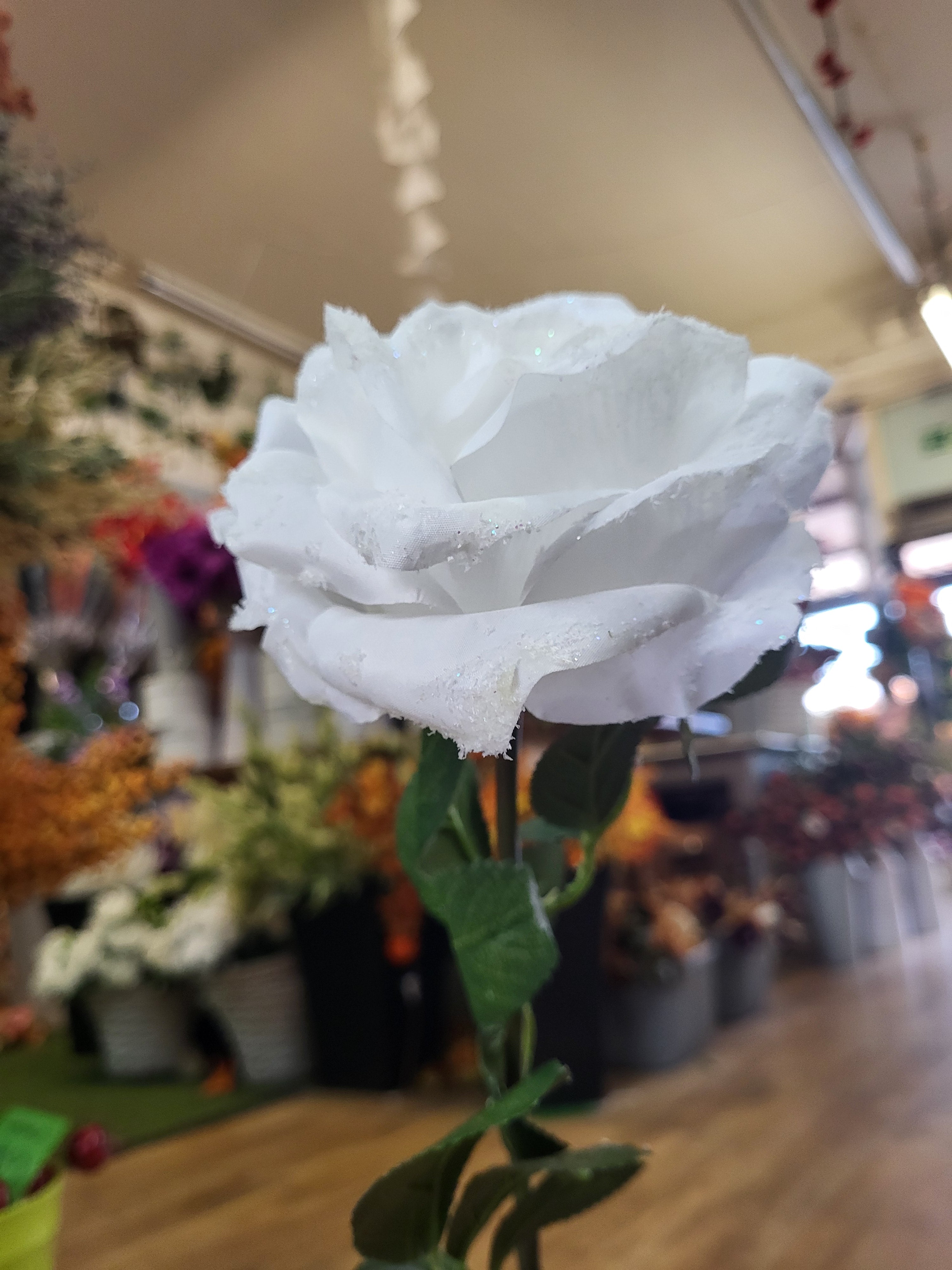 Long stem frosted white single rose image 5