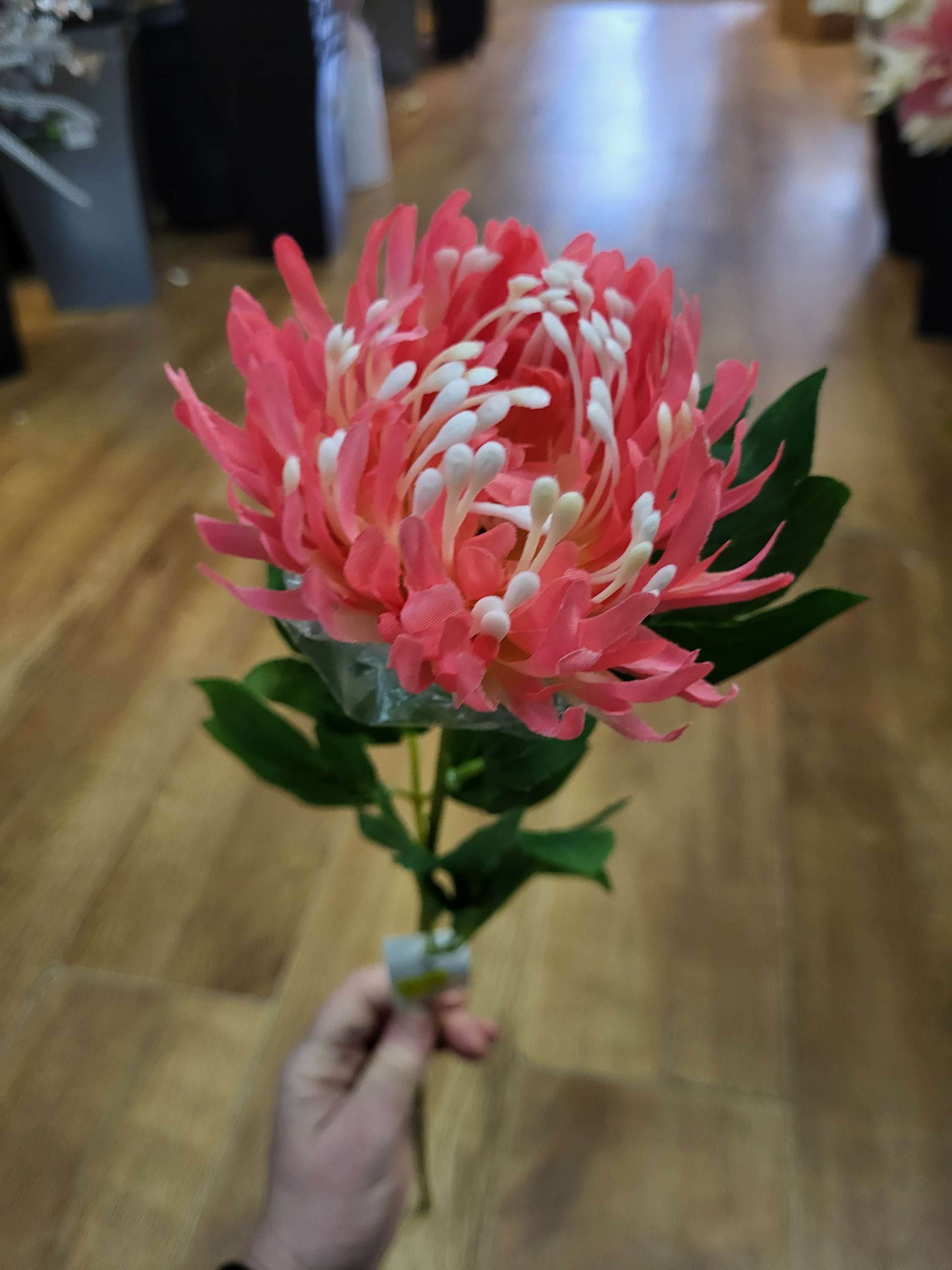 Long stem single chrysanthemum  - 3 colours available image 6