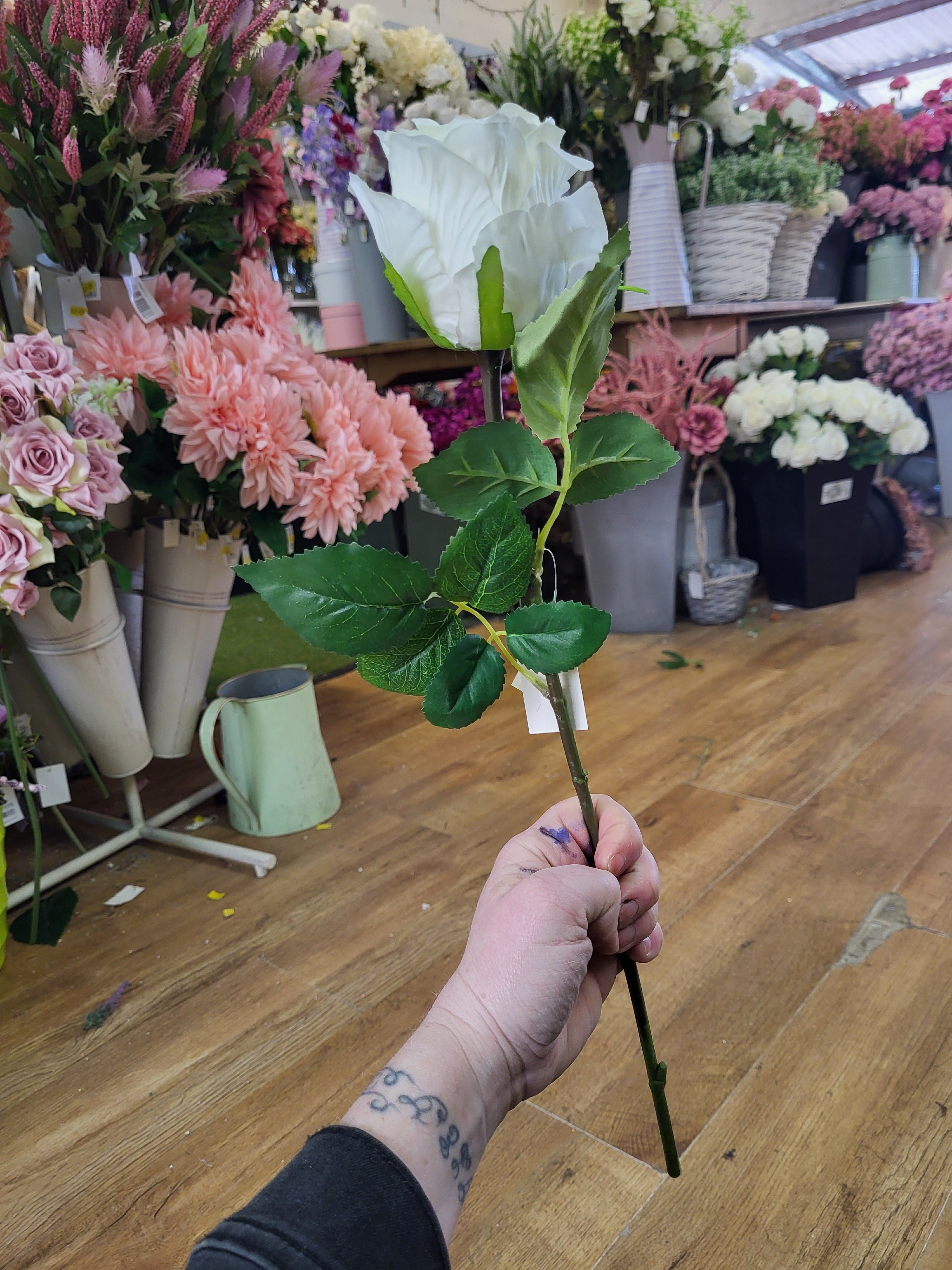 Ivory Lila Rose  image 5