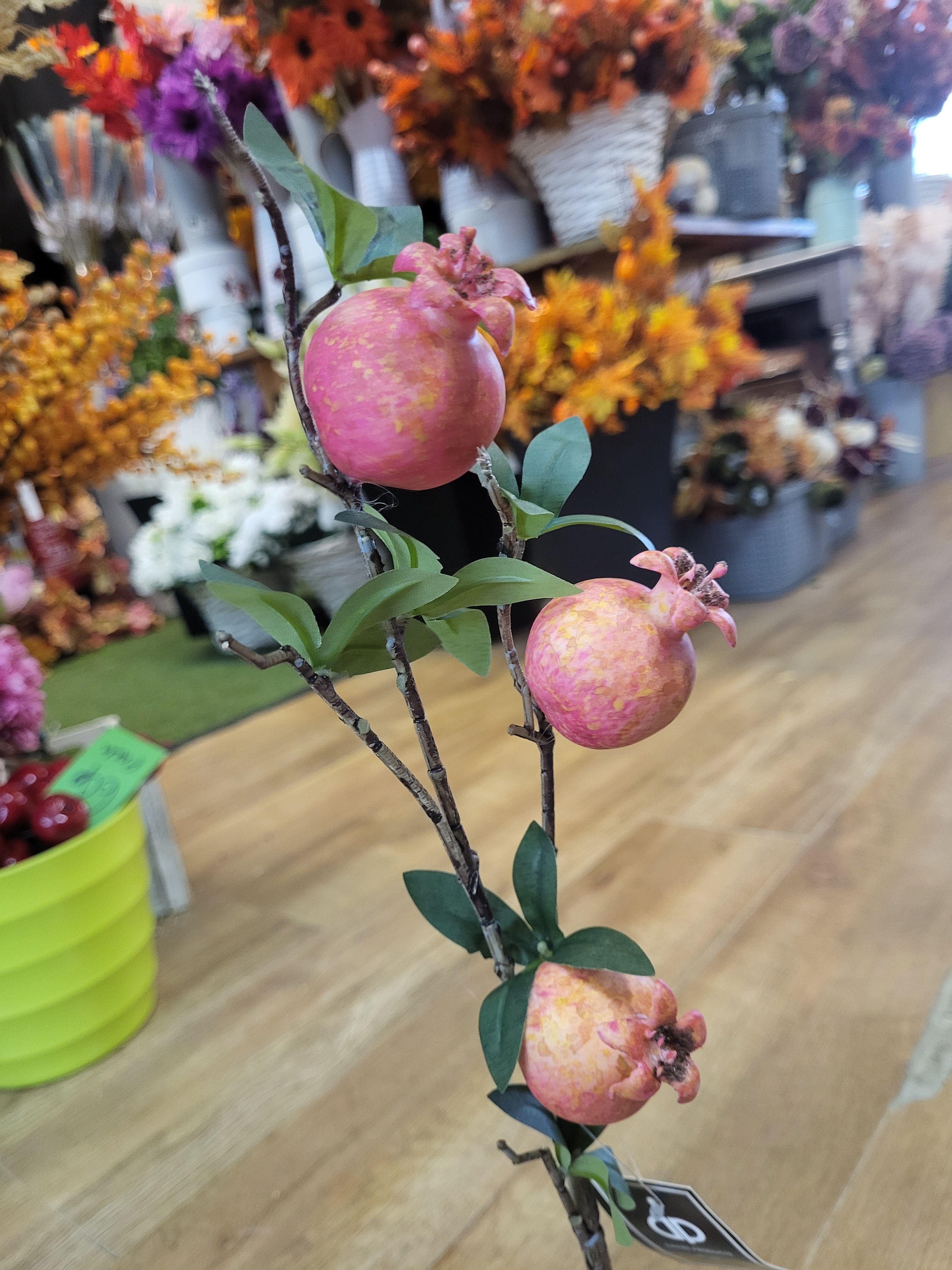 54cm pomegranate stem image 0