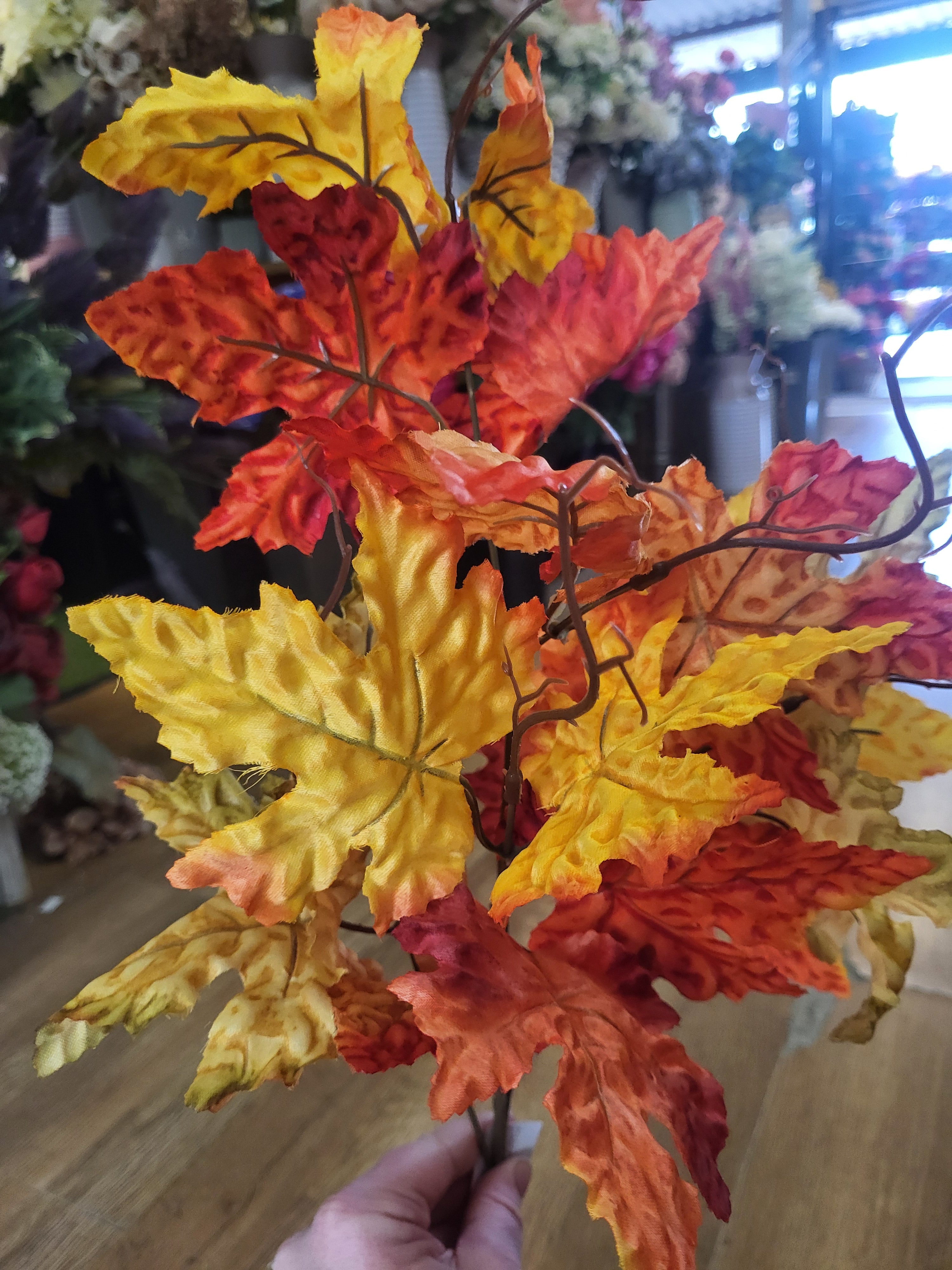 Long stem Autumn Maple leaf image 1