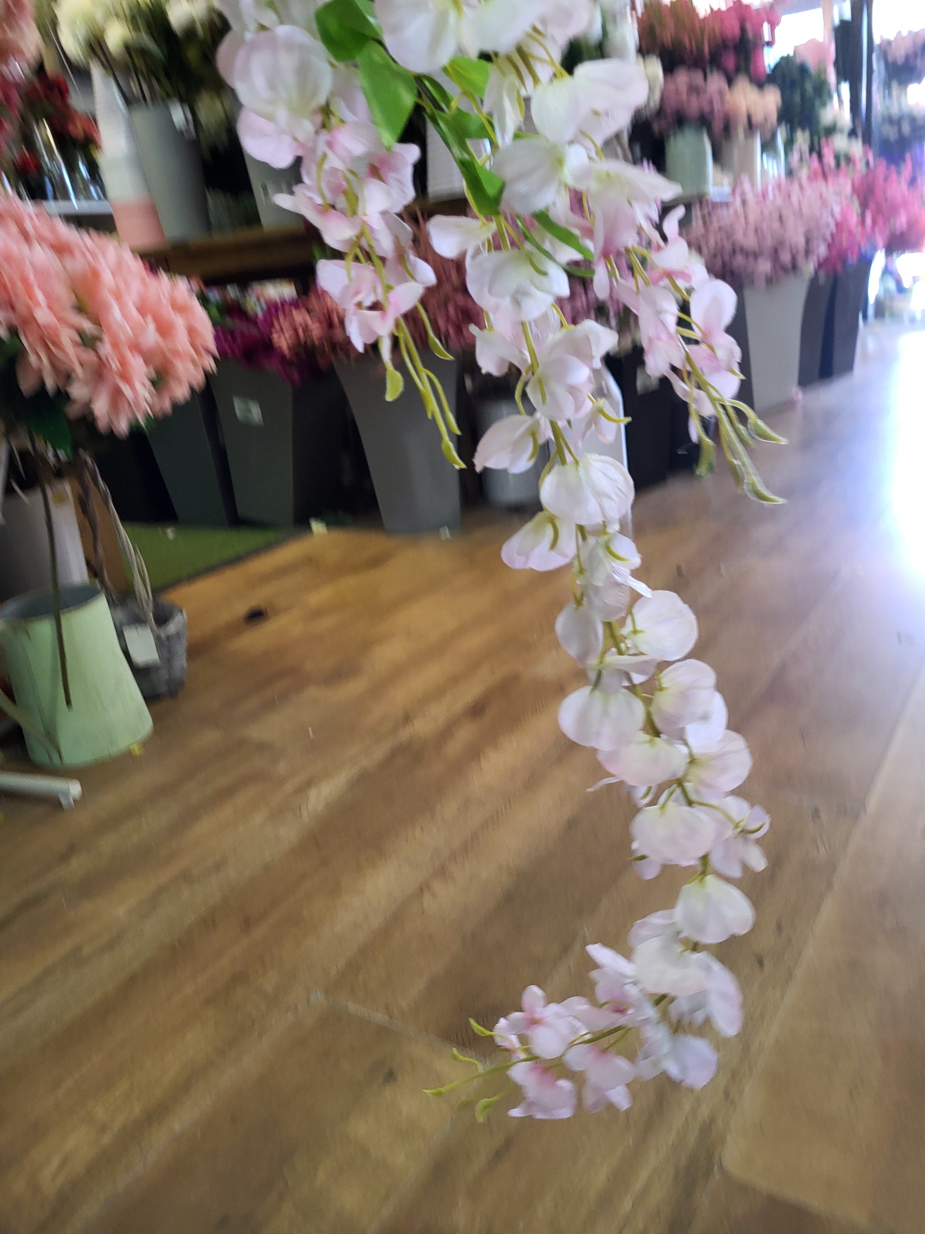 Trailing wisteria - 3 colours available image 7