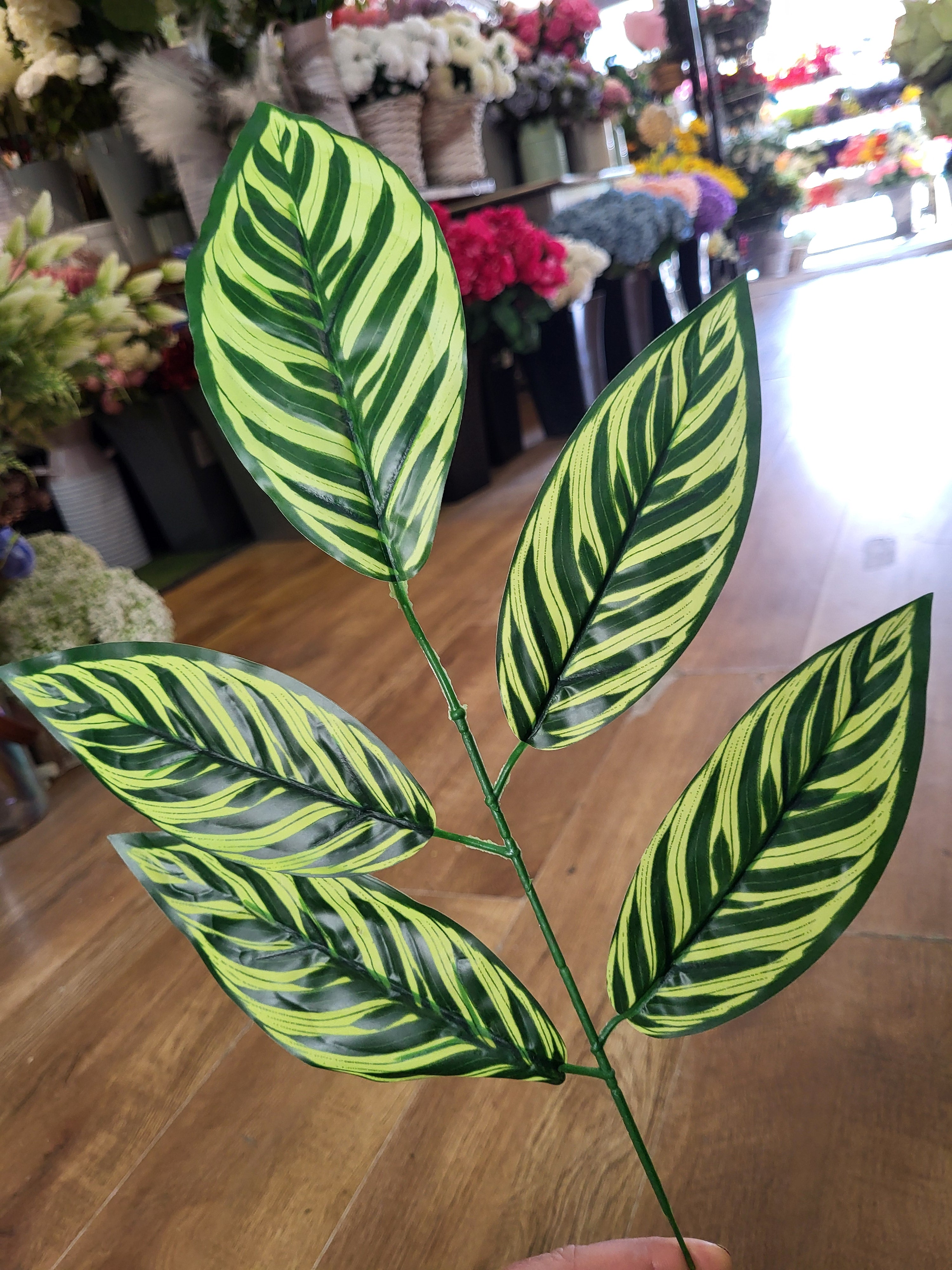 Striped large leaf pick image 0