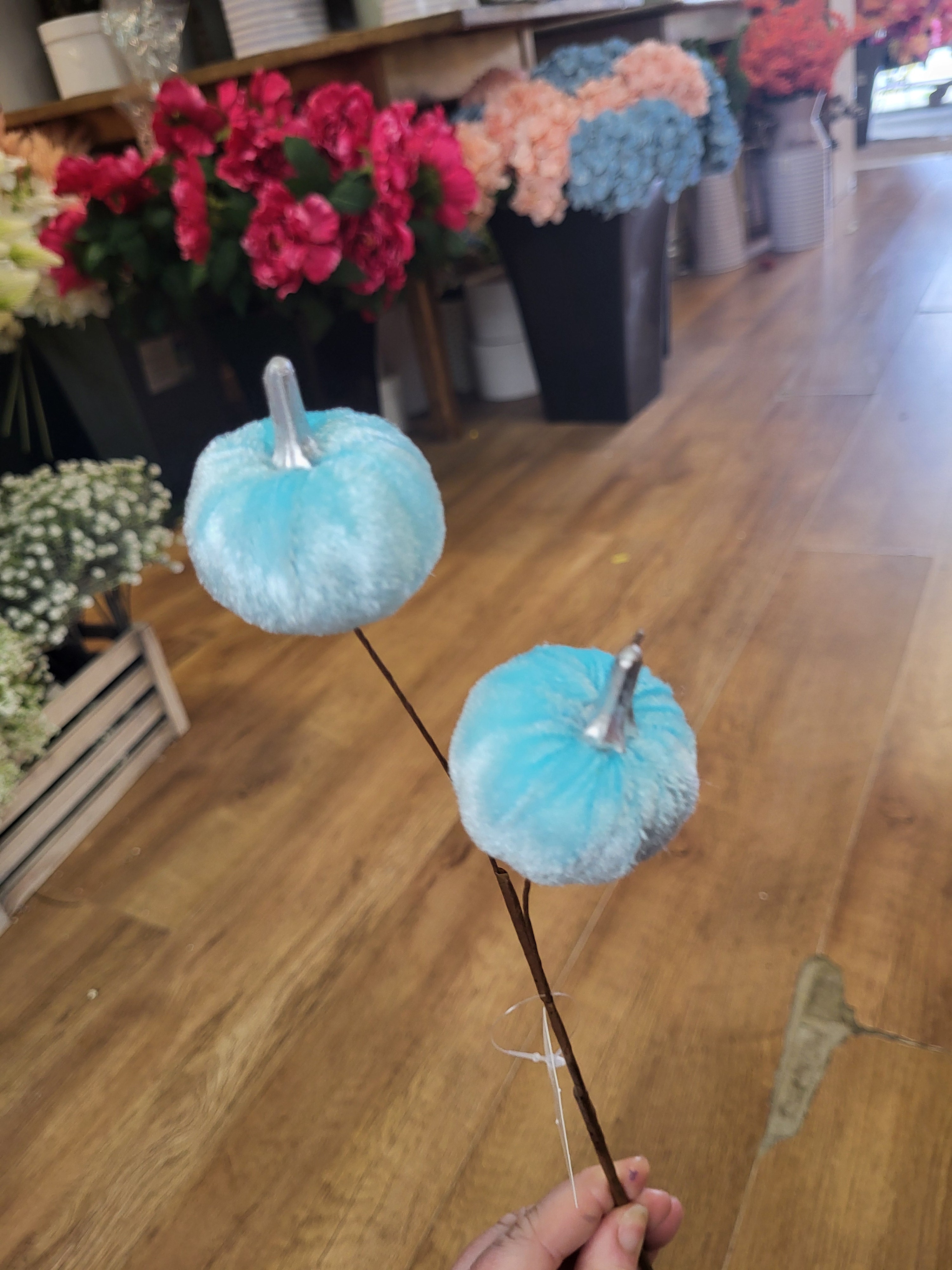 Medium length pale blue velvet pumpkin stem  image 1