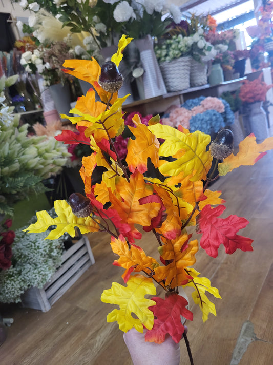 Long stem red/orange/yellow acorn spray image 0