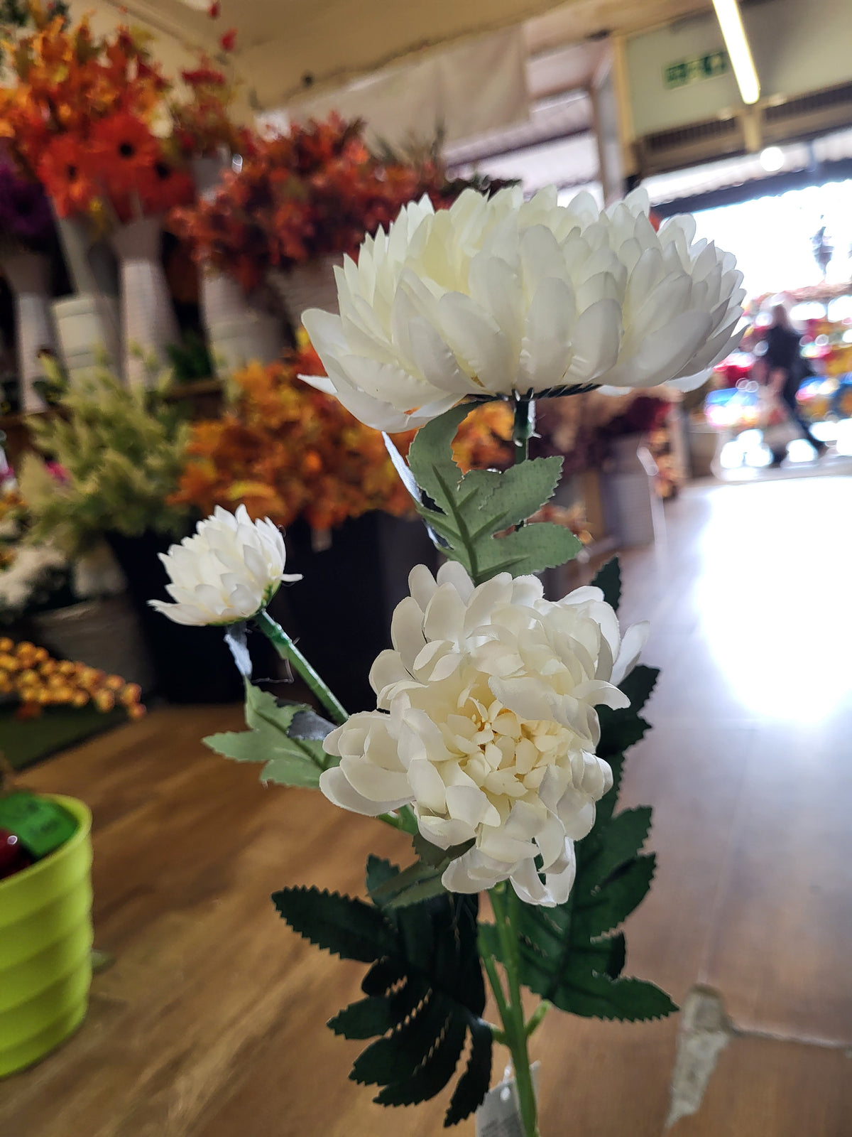 63cm tall Ivory 3 headed chrysanthemum stem image 1