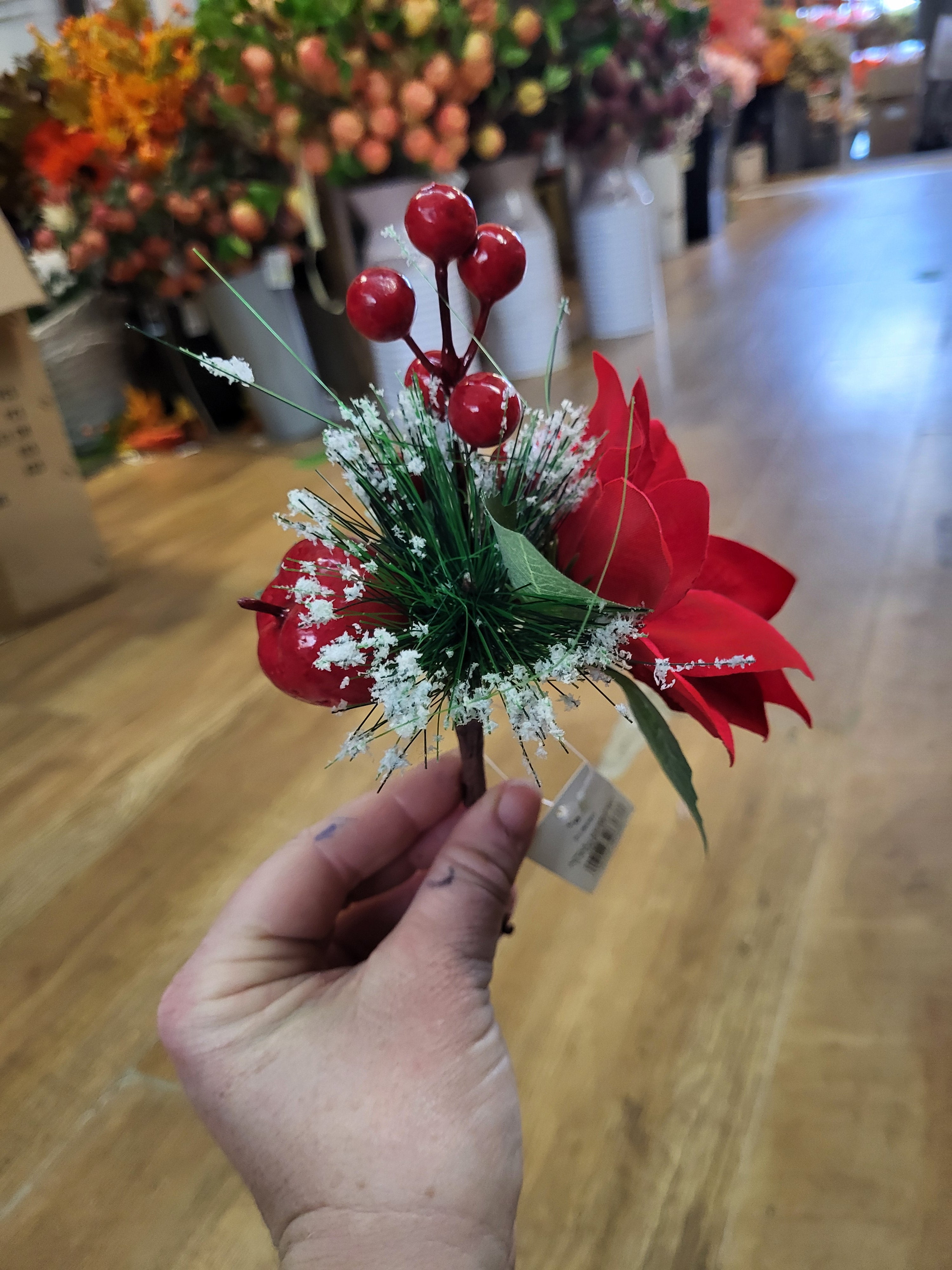 Poinsettia and apple pick image 1