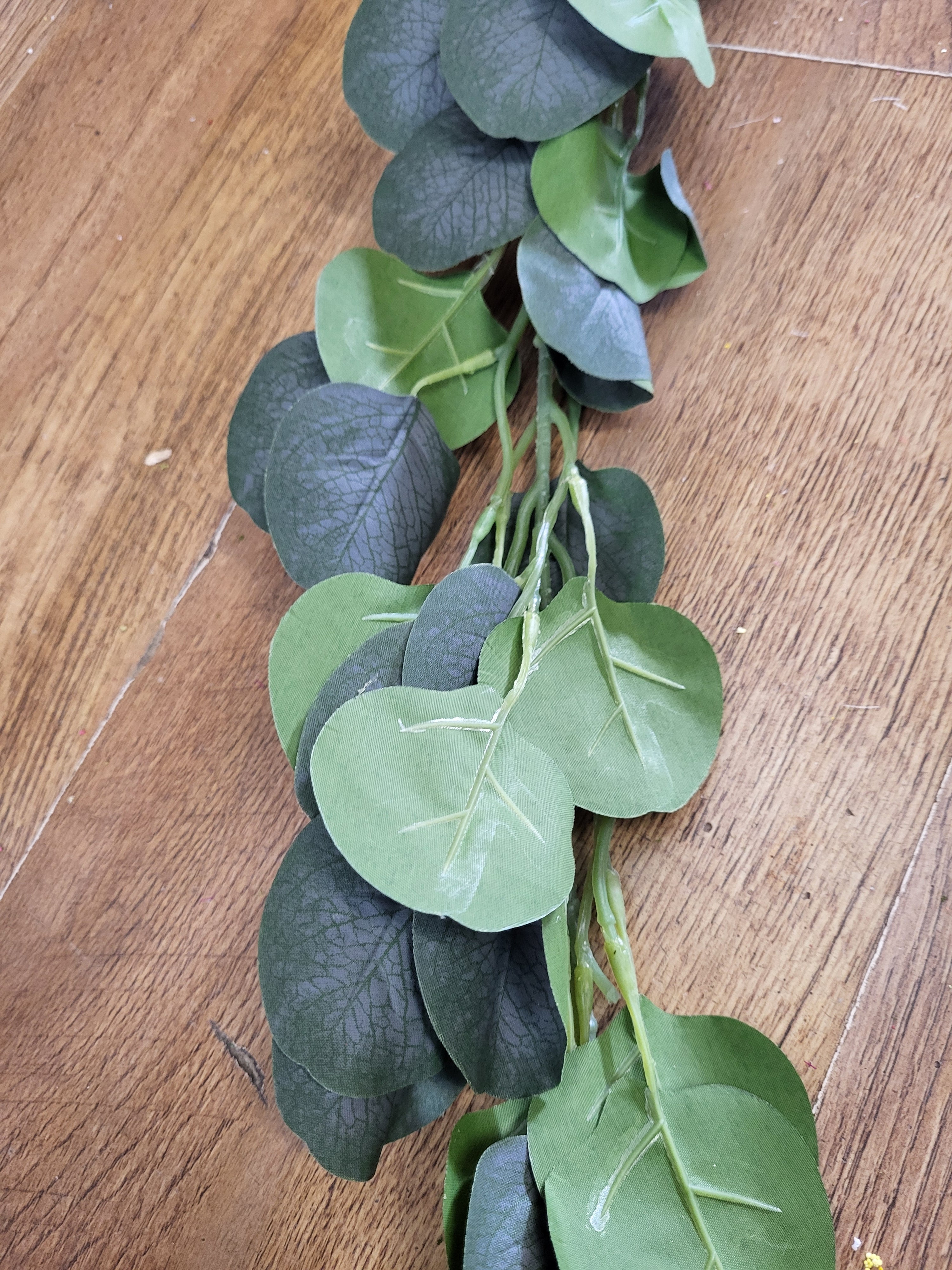 Silver dollar eucalyptus garland  image 4