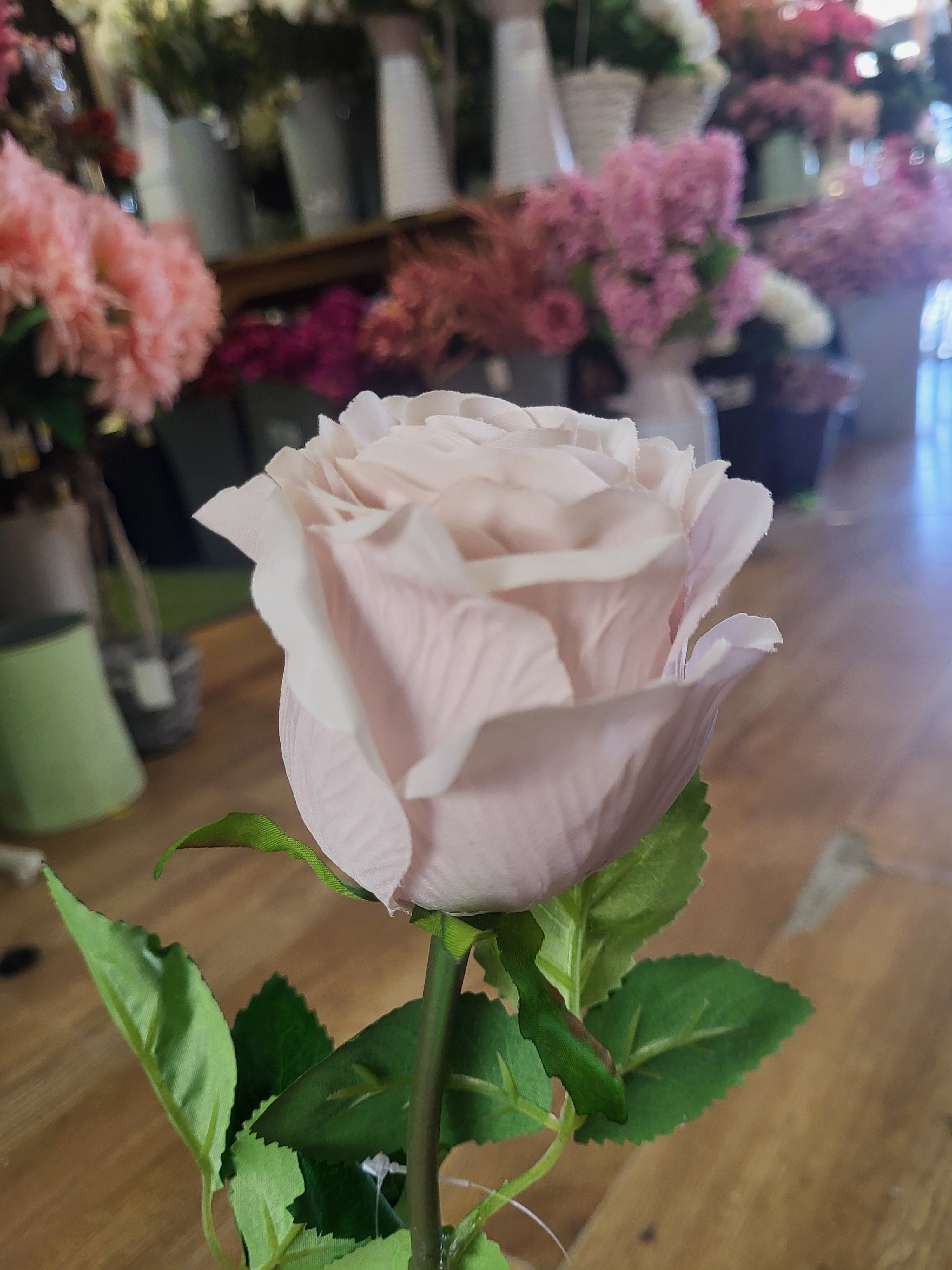 Nude Lila Rose  image 1