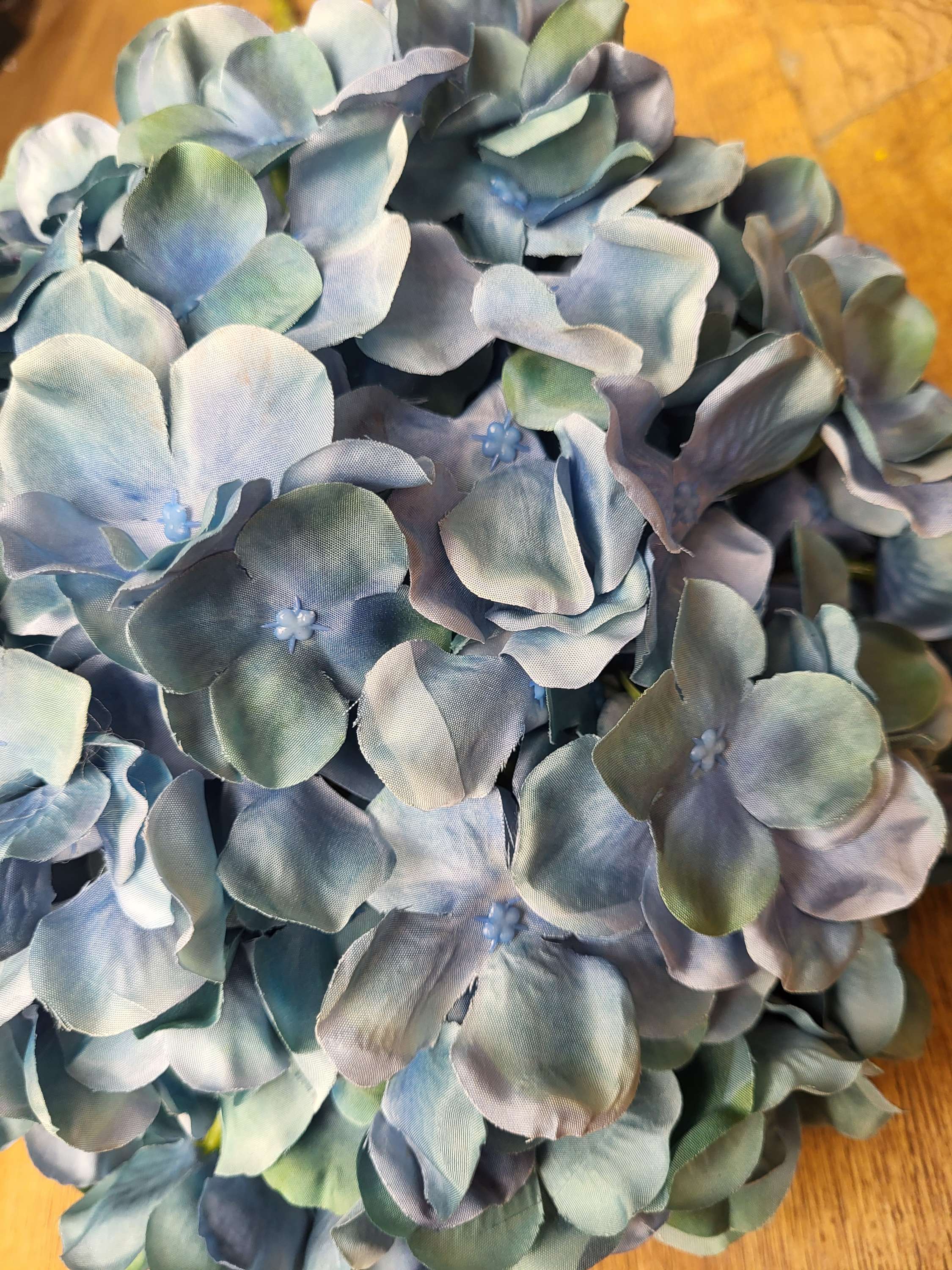 Giant head mixed blue/green premium hydrangea  image 3