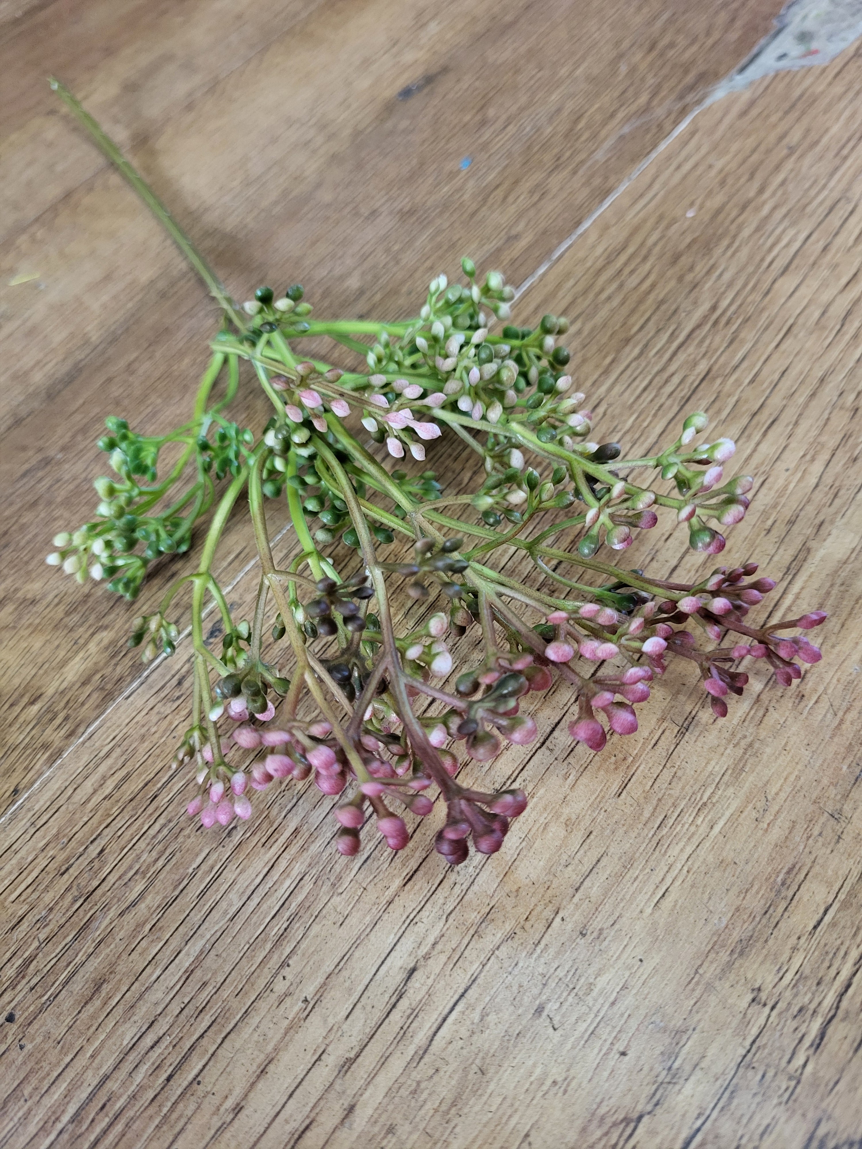 Mulberry tinted Felicity bud pick  image 0