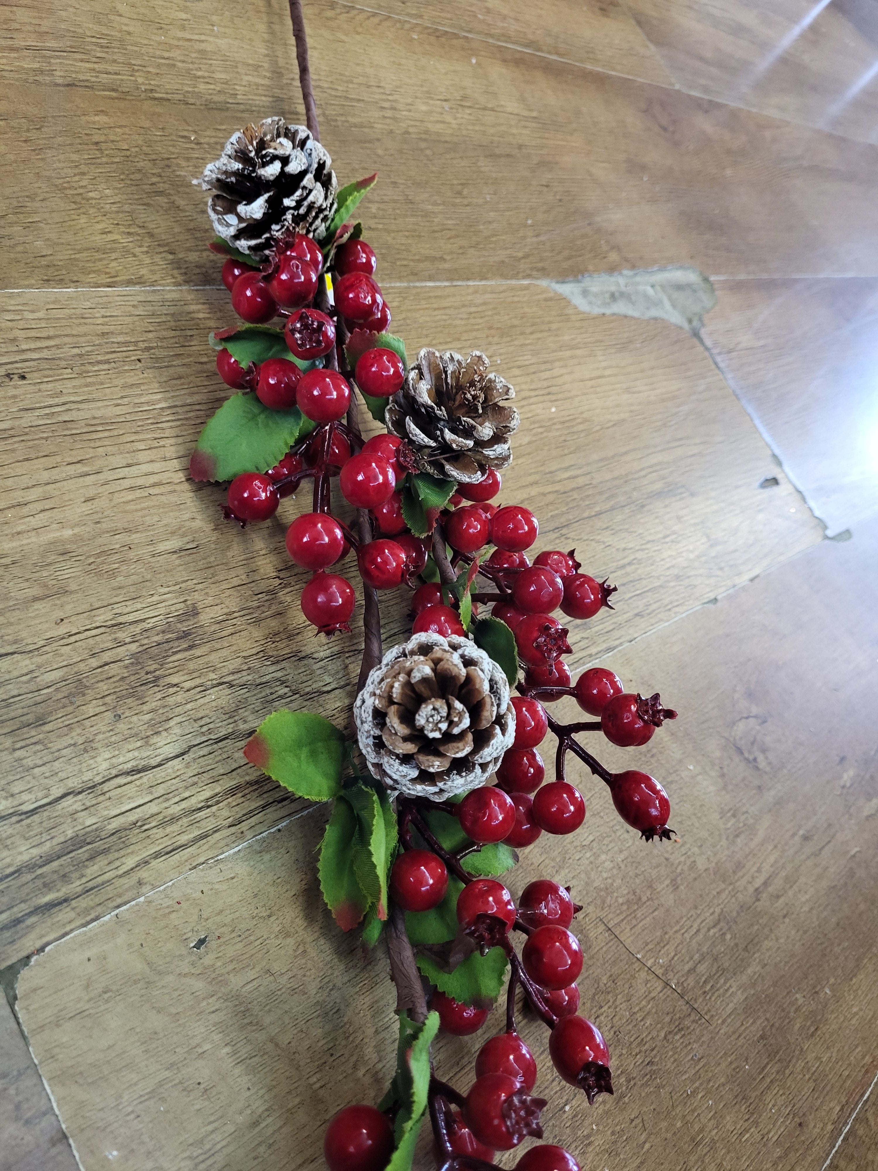 Long stem red berry and cones branch image 2