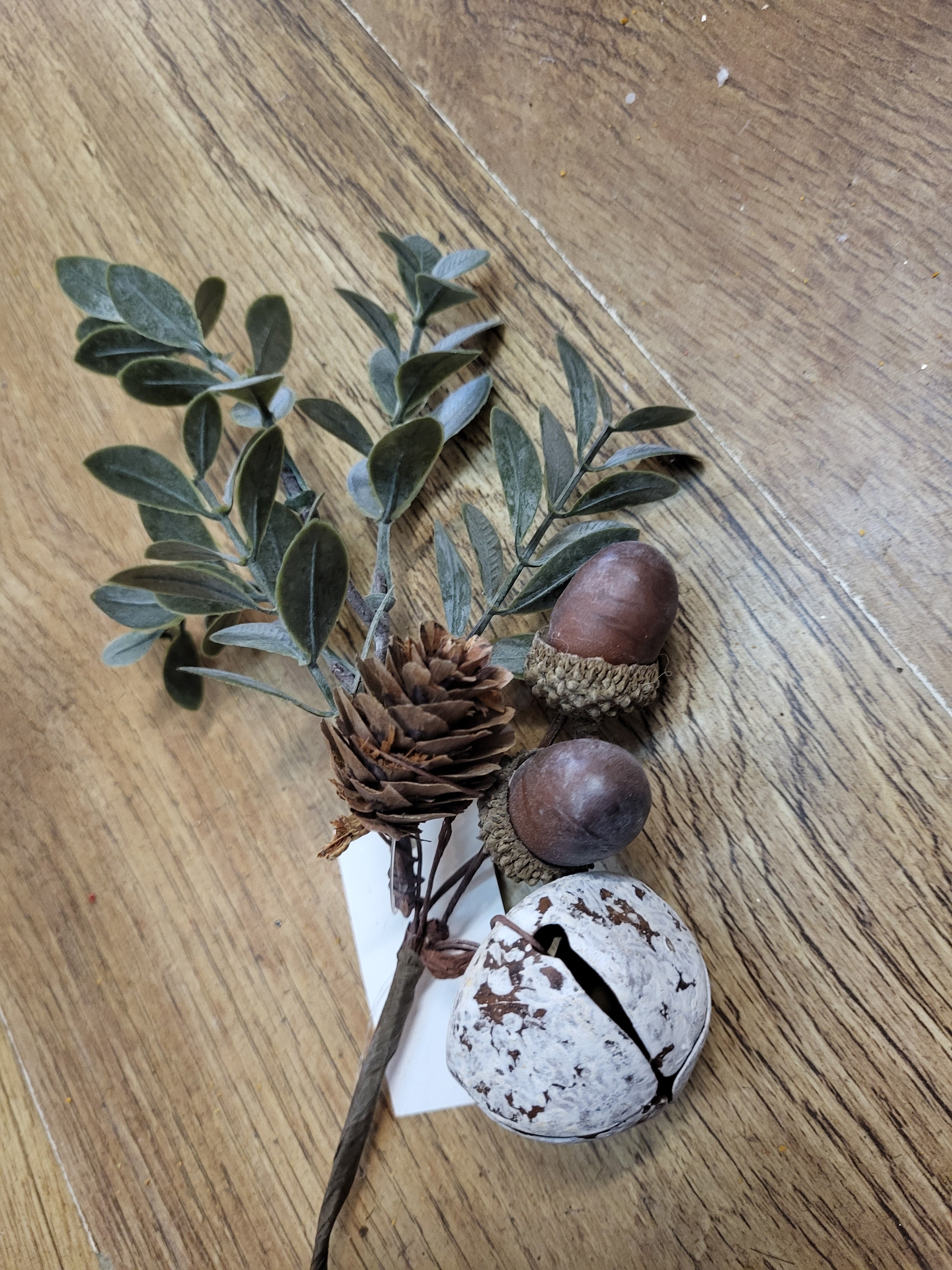 Acorn and bell pick image 1