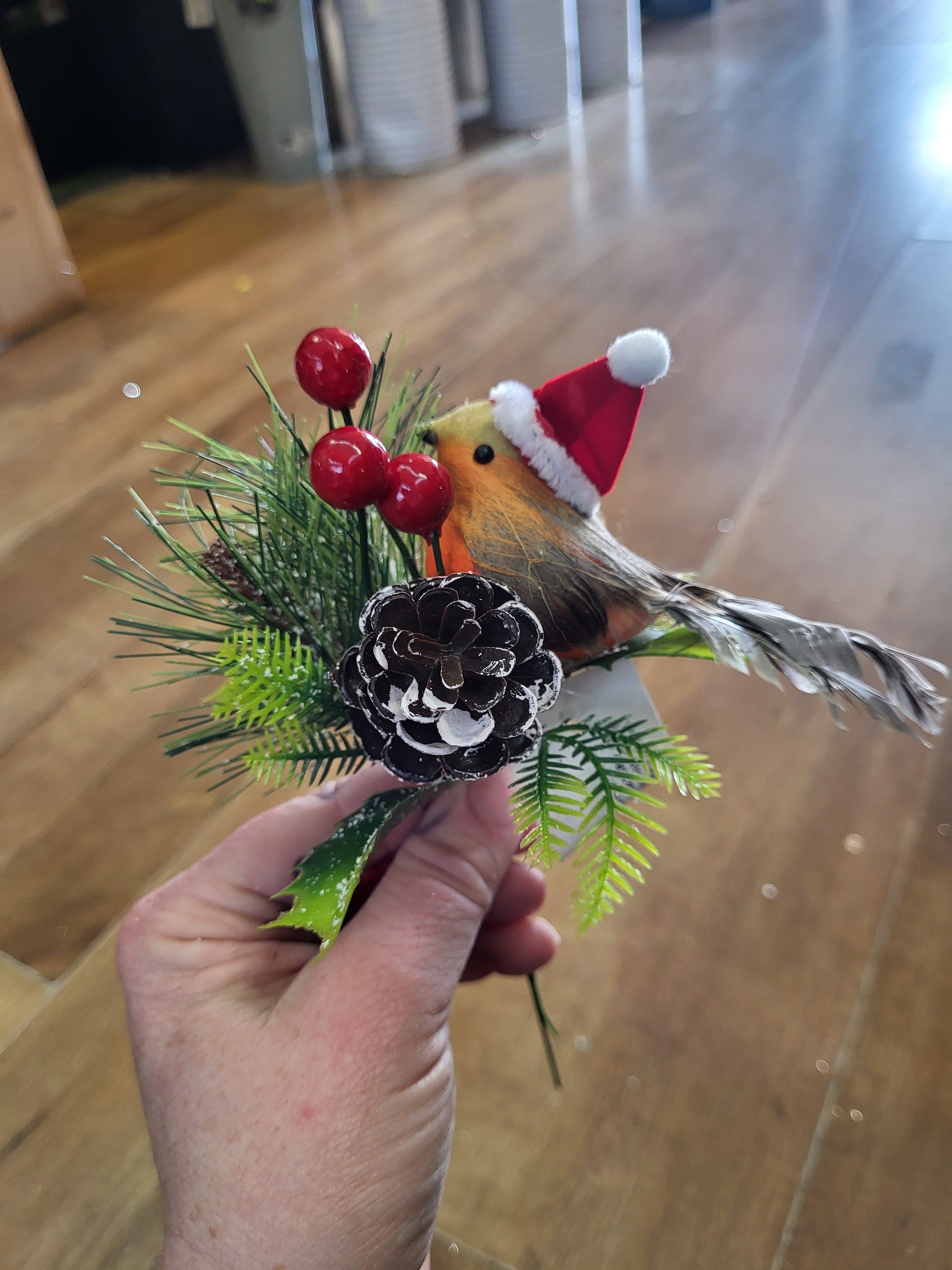 Robin with santa hat pick image 1