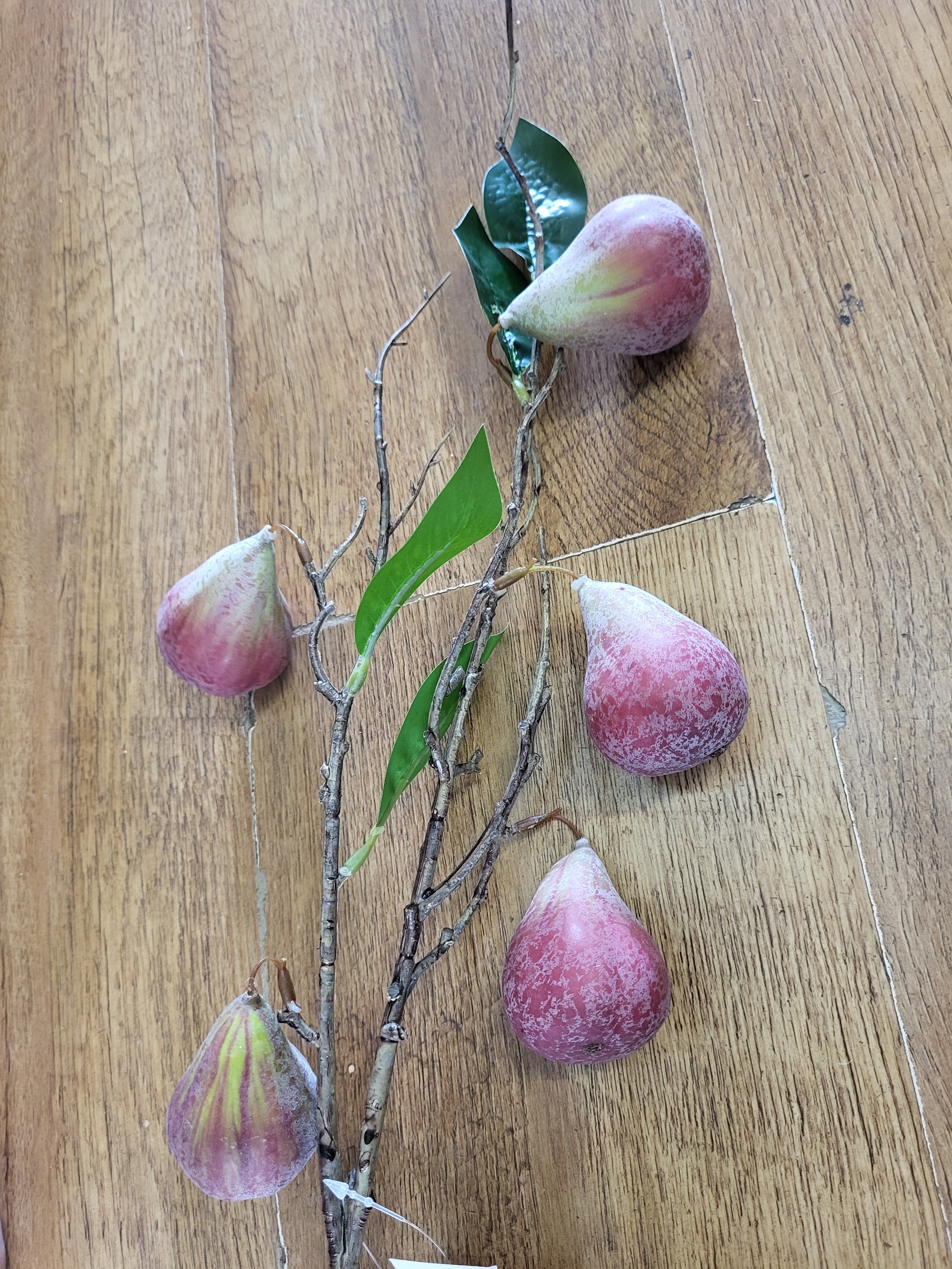 78cm tall Fig branch image 3