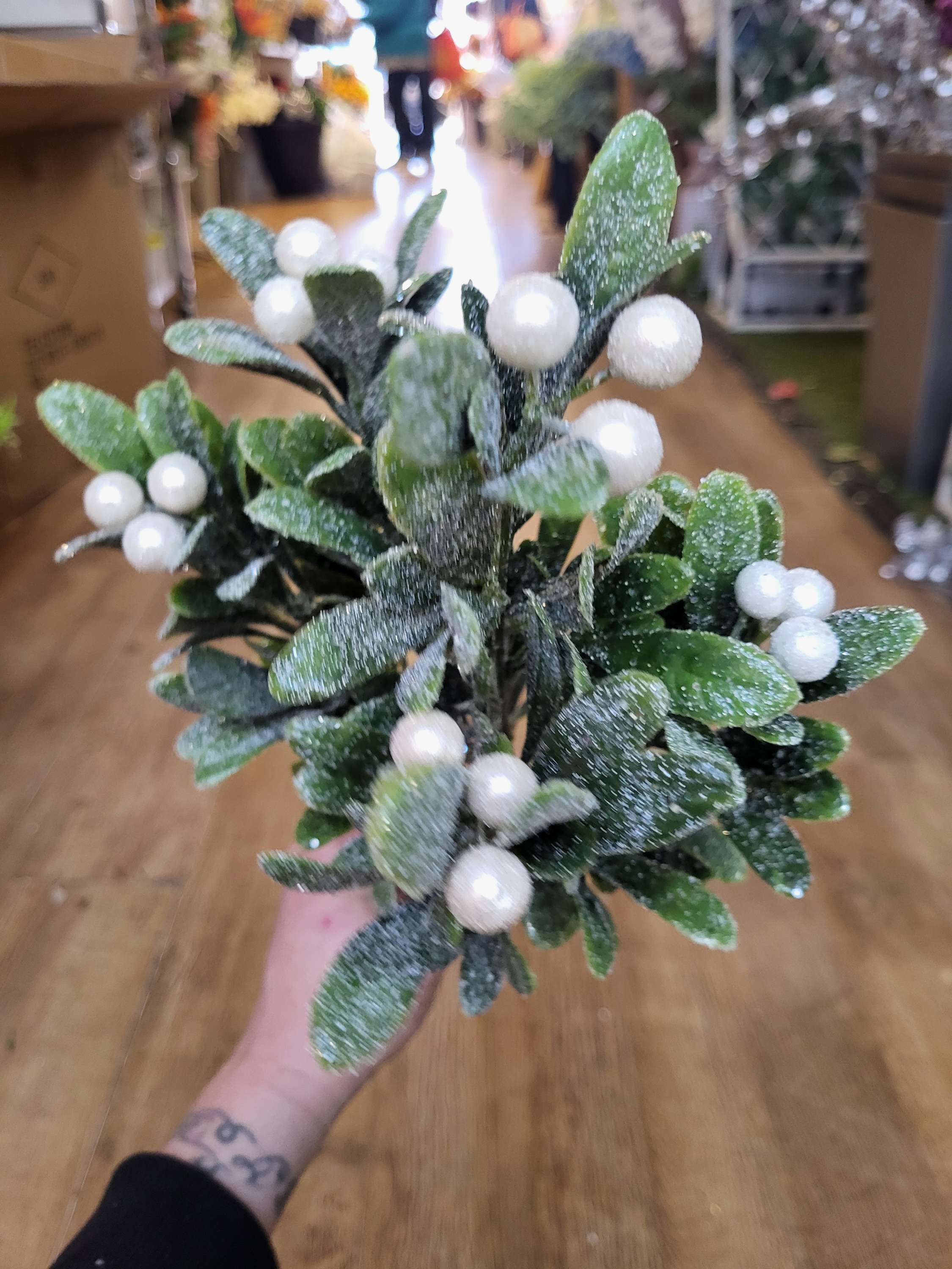 Large frosted pearly mistletoe bunch image 2
