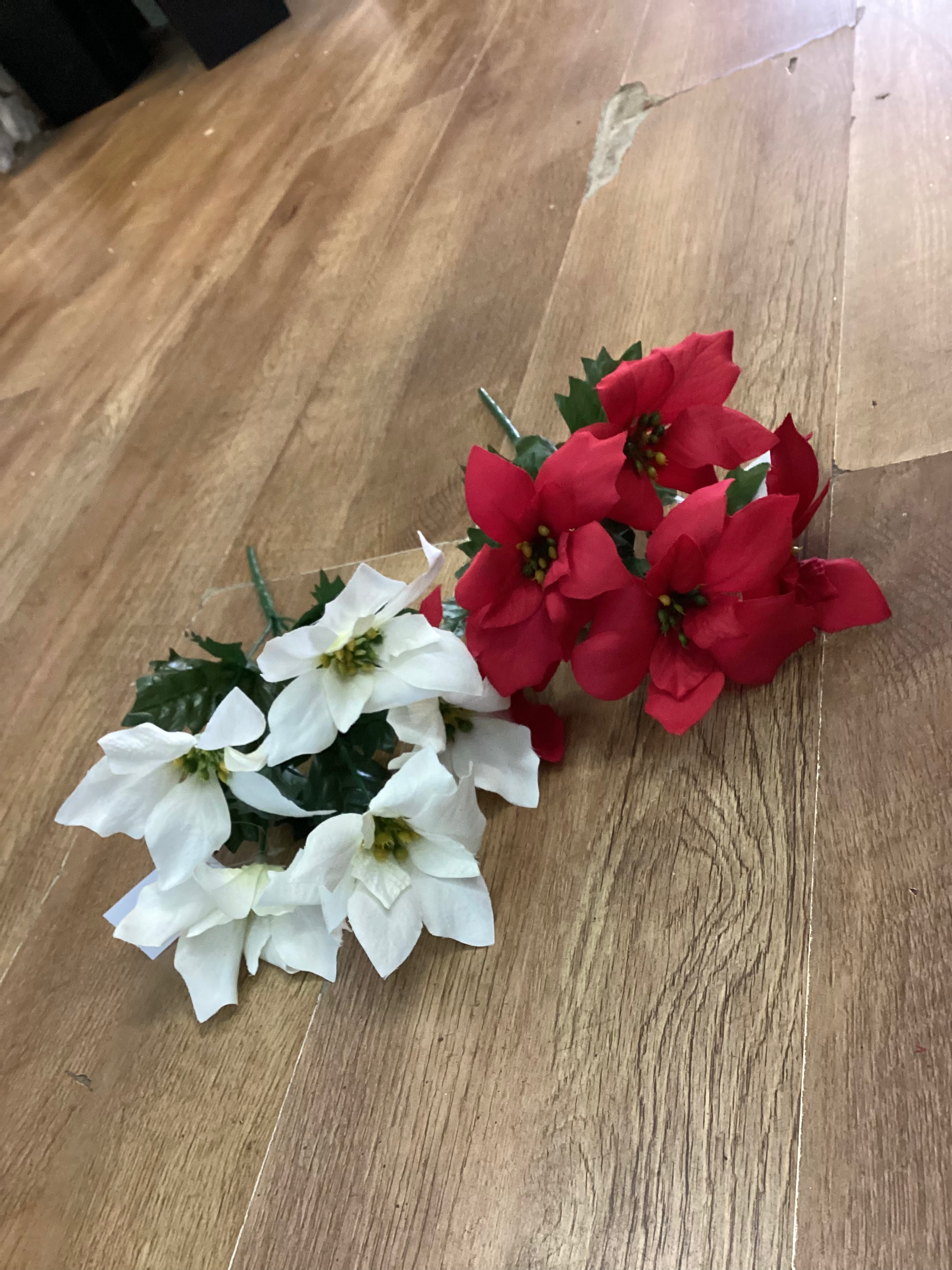 Plain poinsettia bunch - 2 colours available image 0