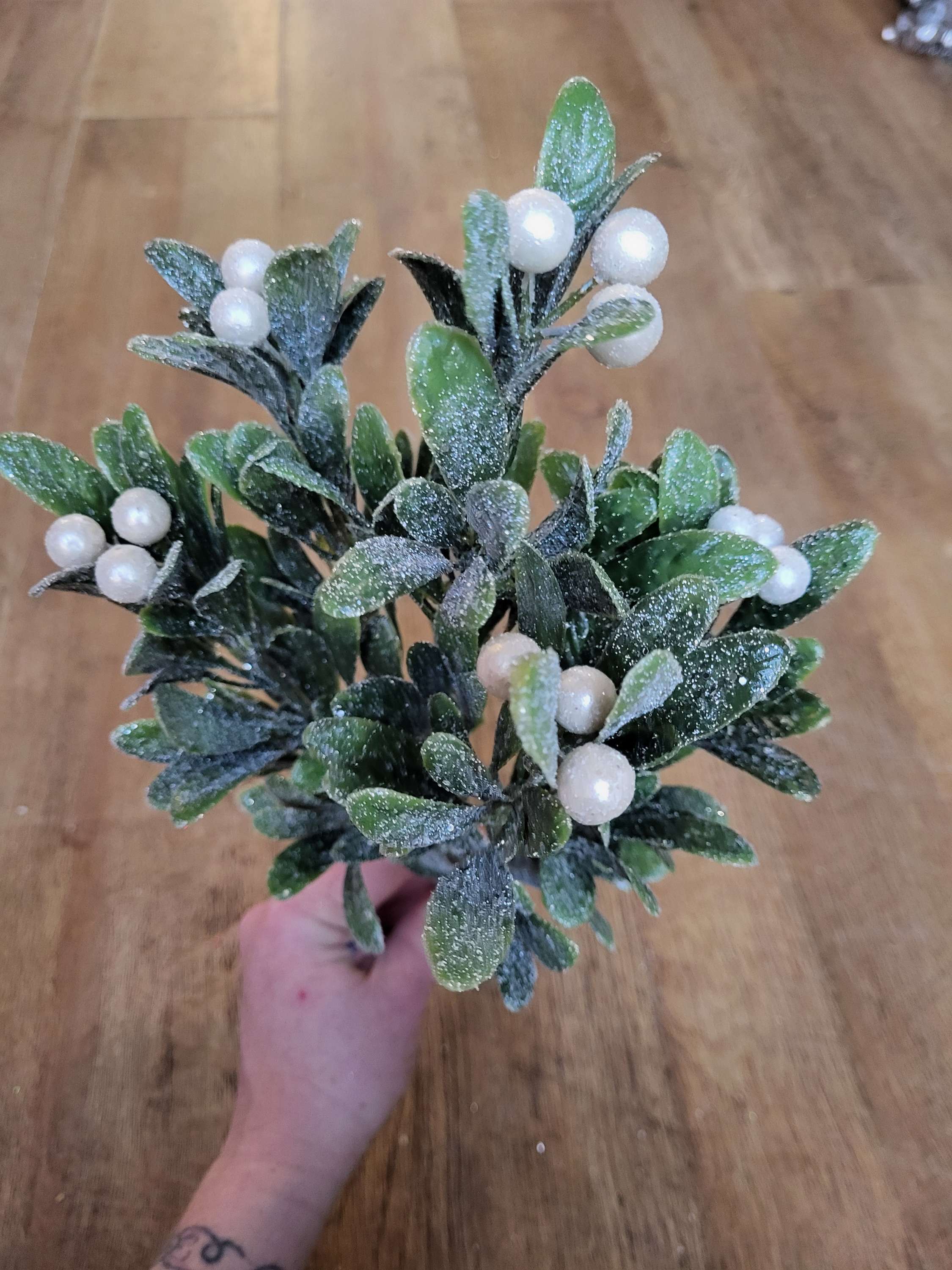 Large frosted pearly mistletoe bunch image 0