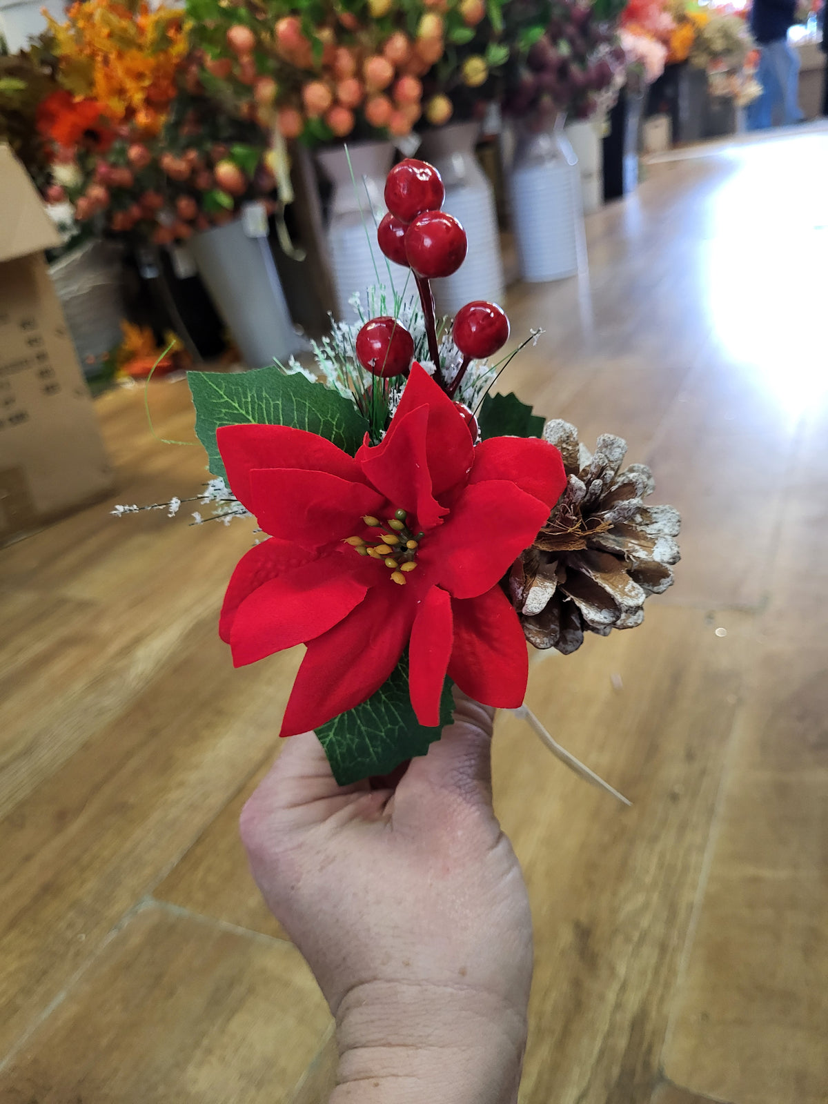 Poinsettia and apple pick image 0