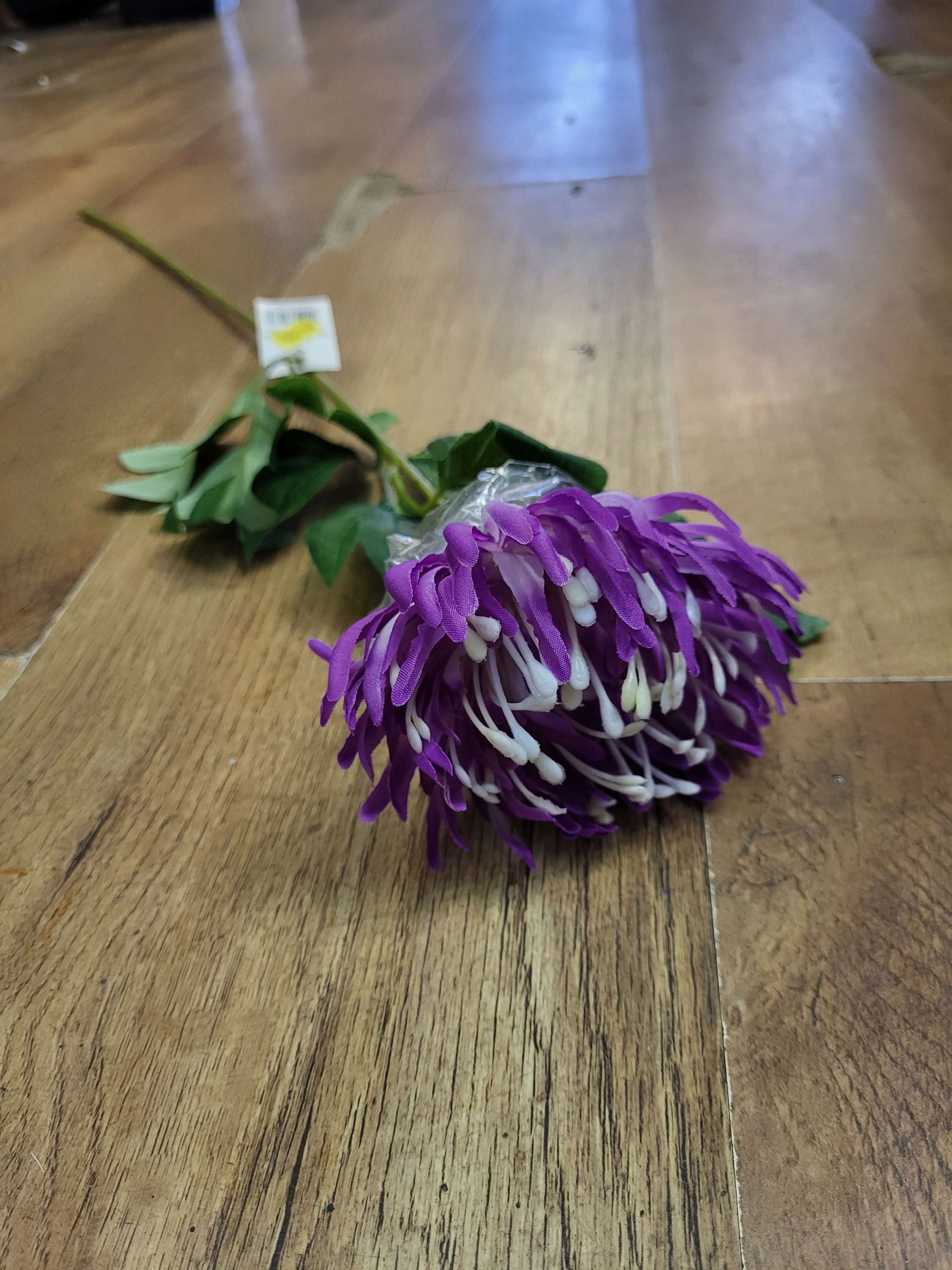 Long stem single chrysanthemum  - 3 colours available image 2