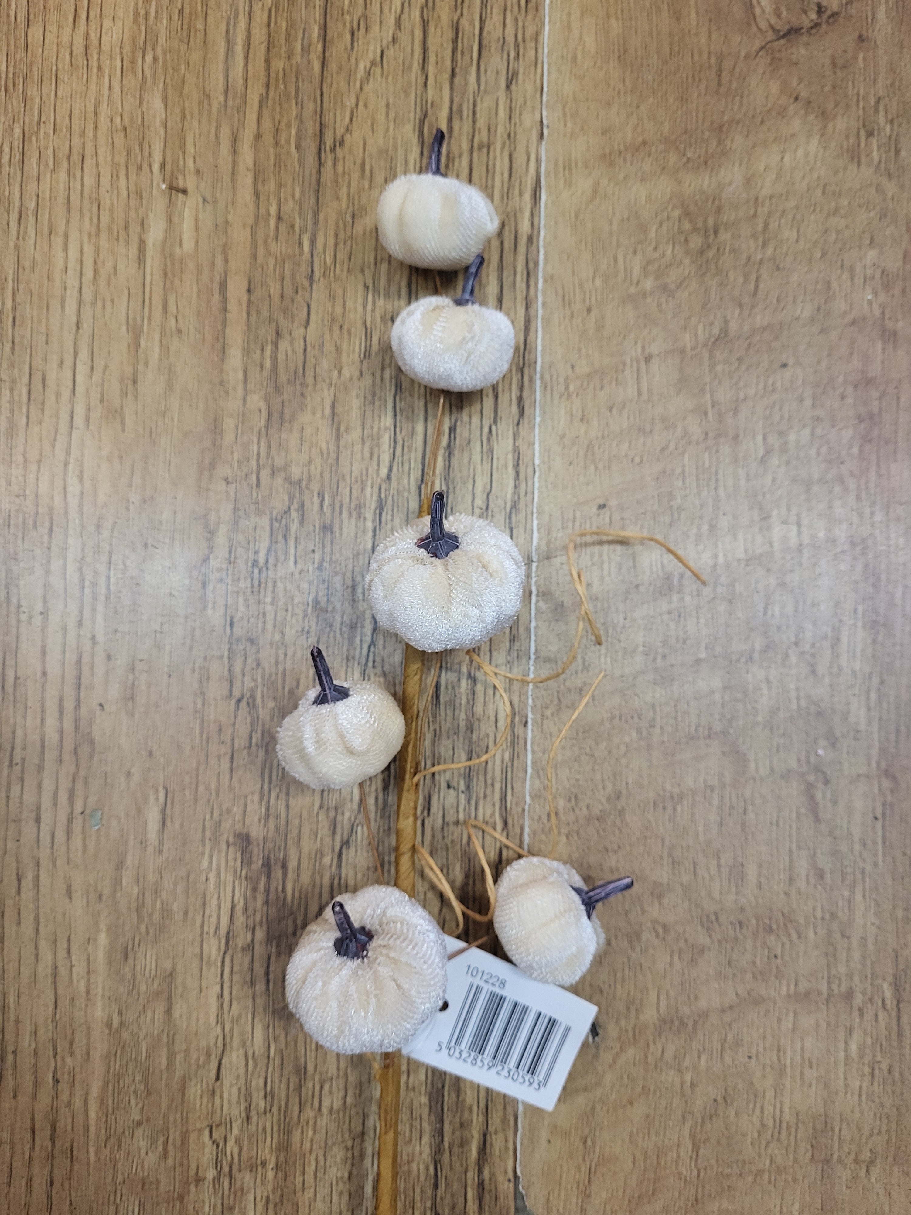 Cream velvet miniature pumpkin stem  image 1