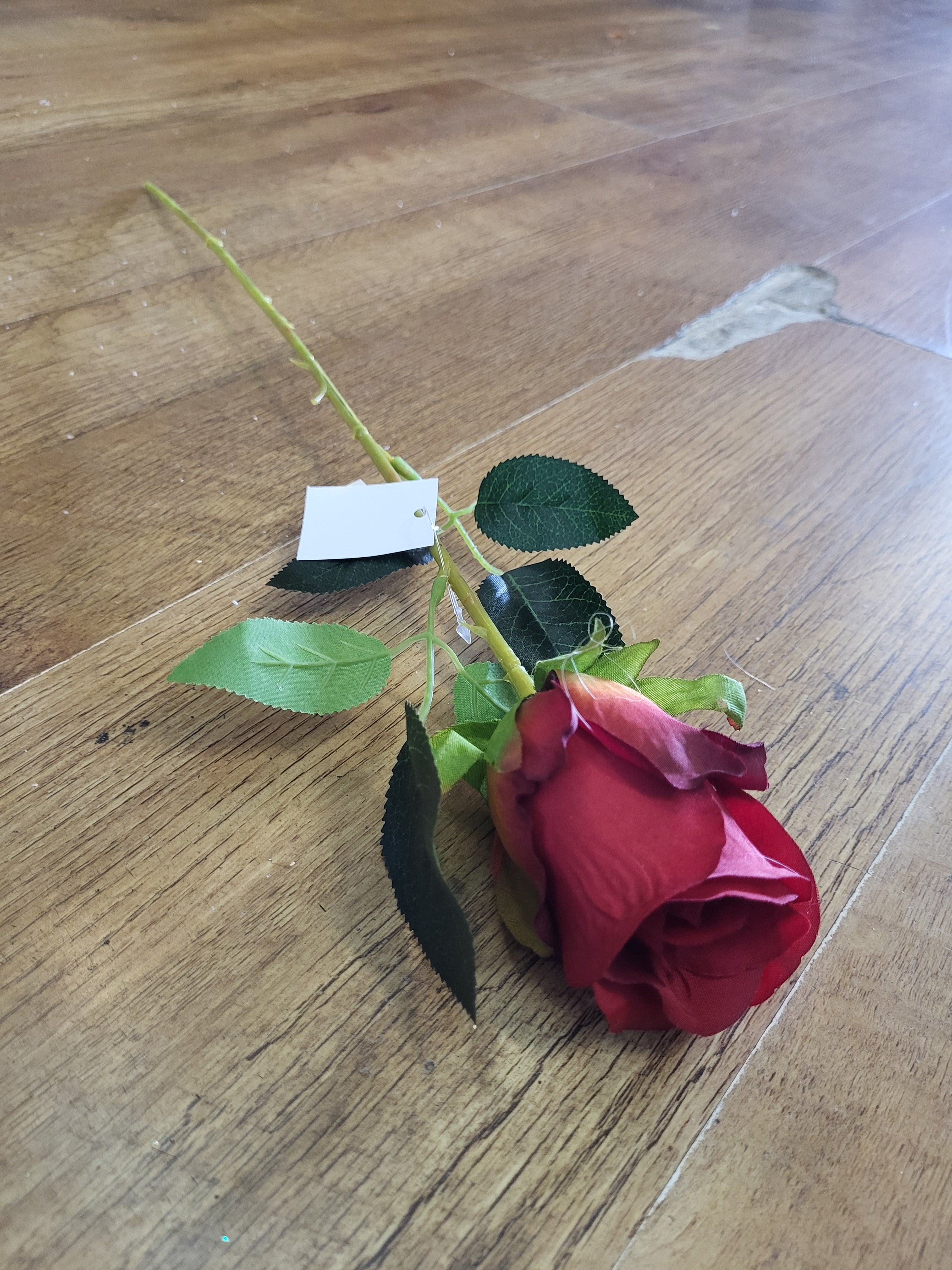 Single Red Celia Rose image 0