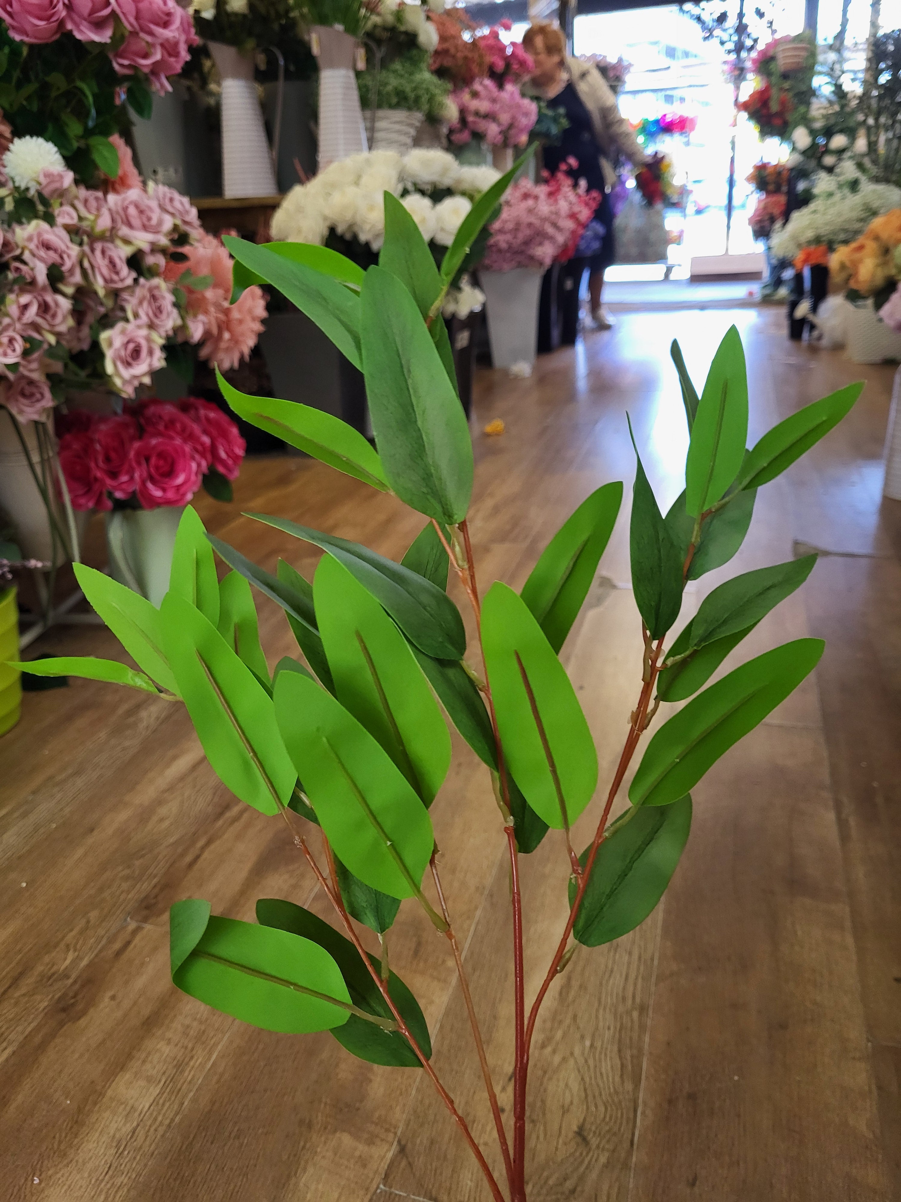 Long stem bamboo image 2