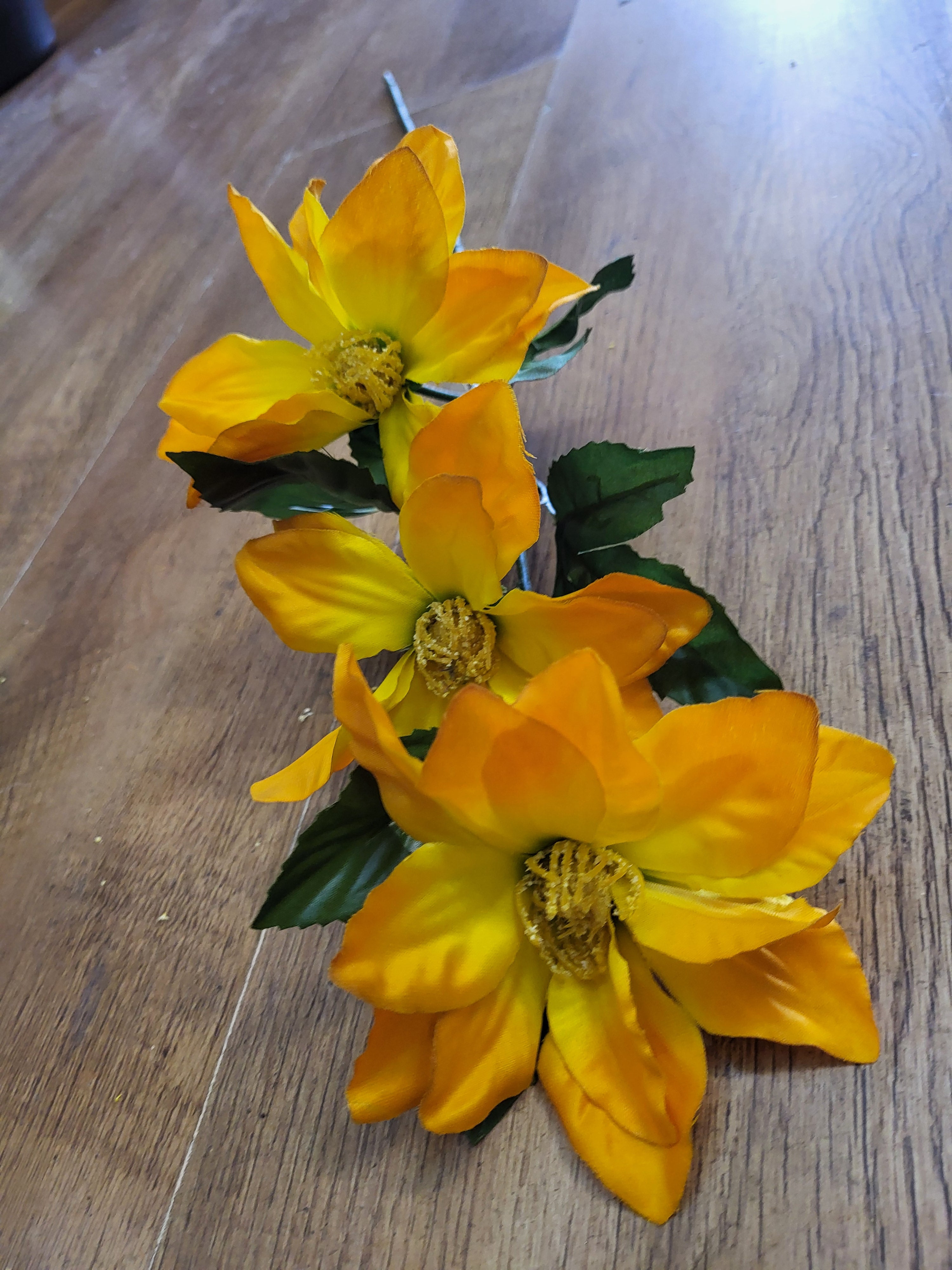 Long stem zinnia - 4 colours available image 7