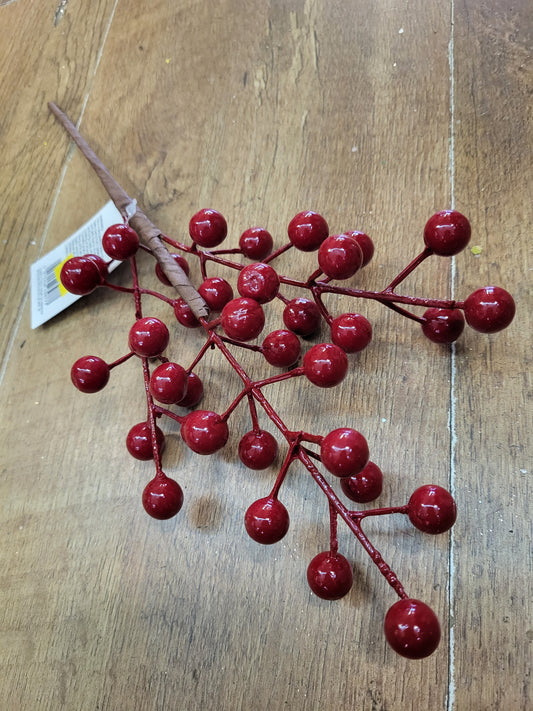 Small red berry branch  image 0