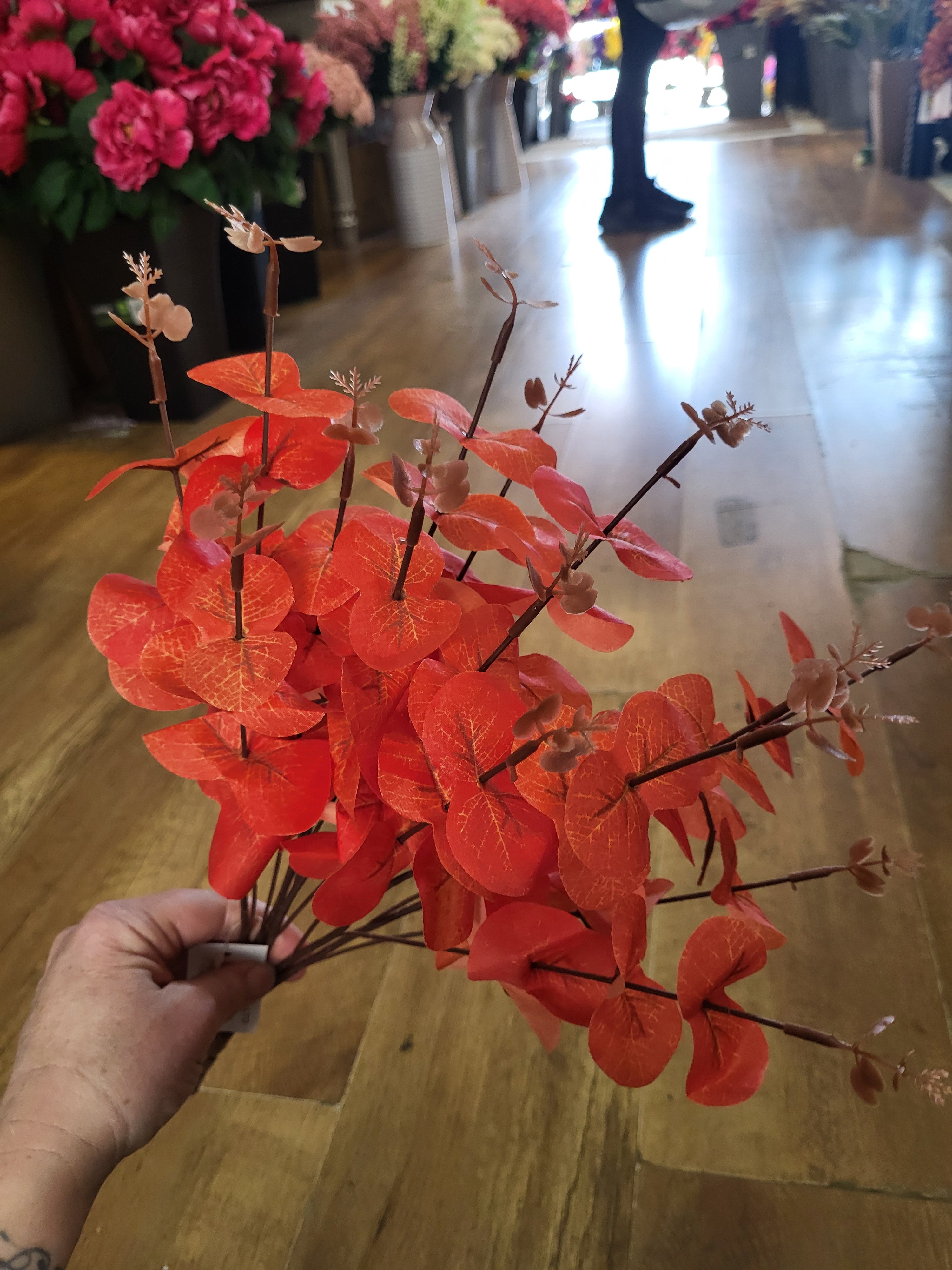 Big bunch Orange eucalyptus  image 2