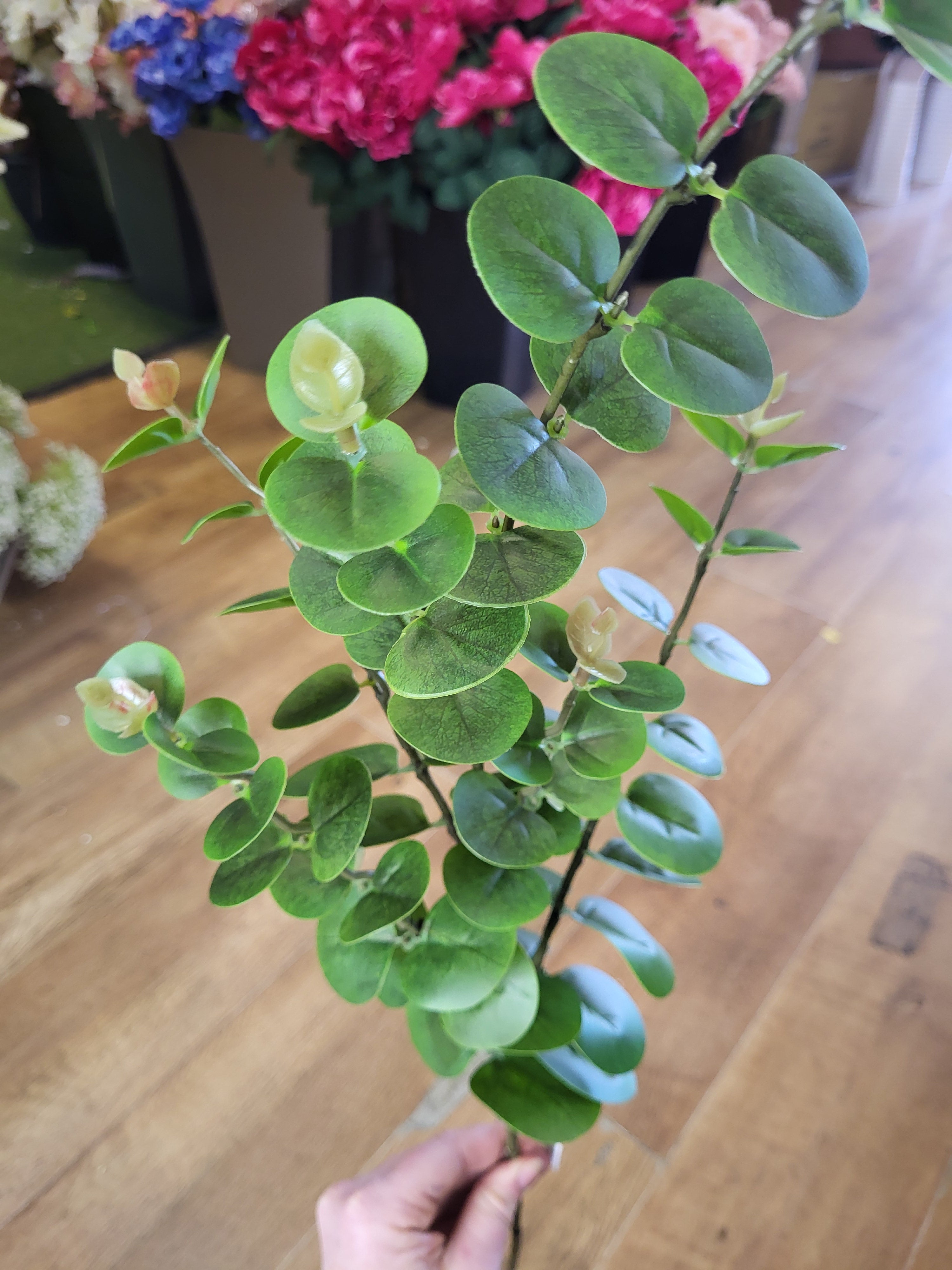 Long stem eucalyptus spray  image 1