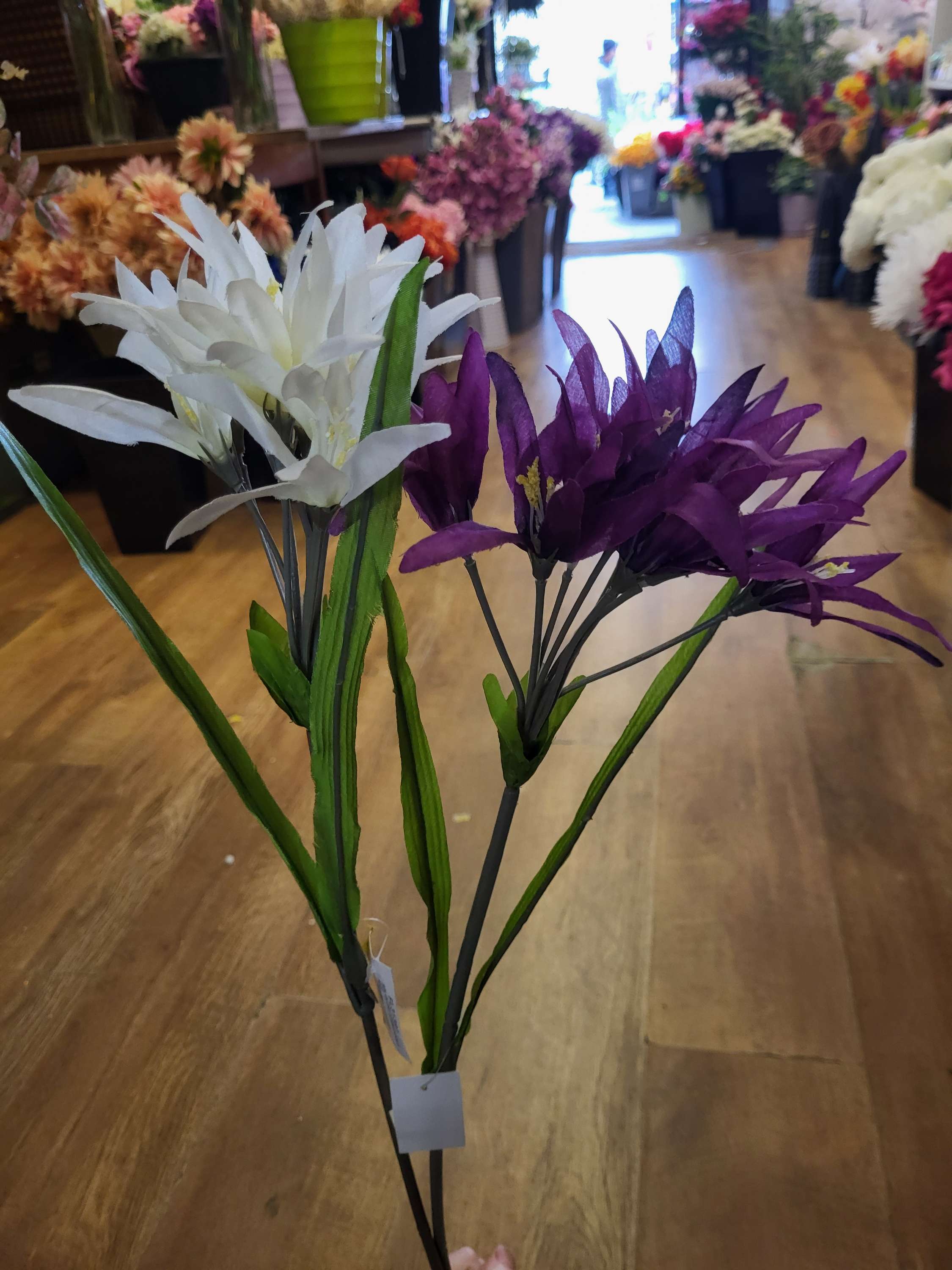 Long stem glory bush - 2 colours available image 0