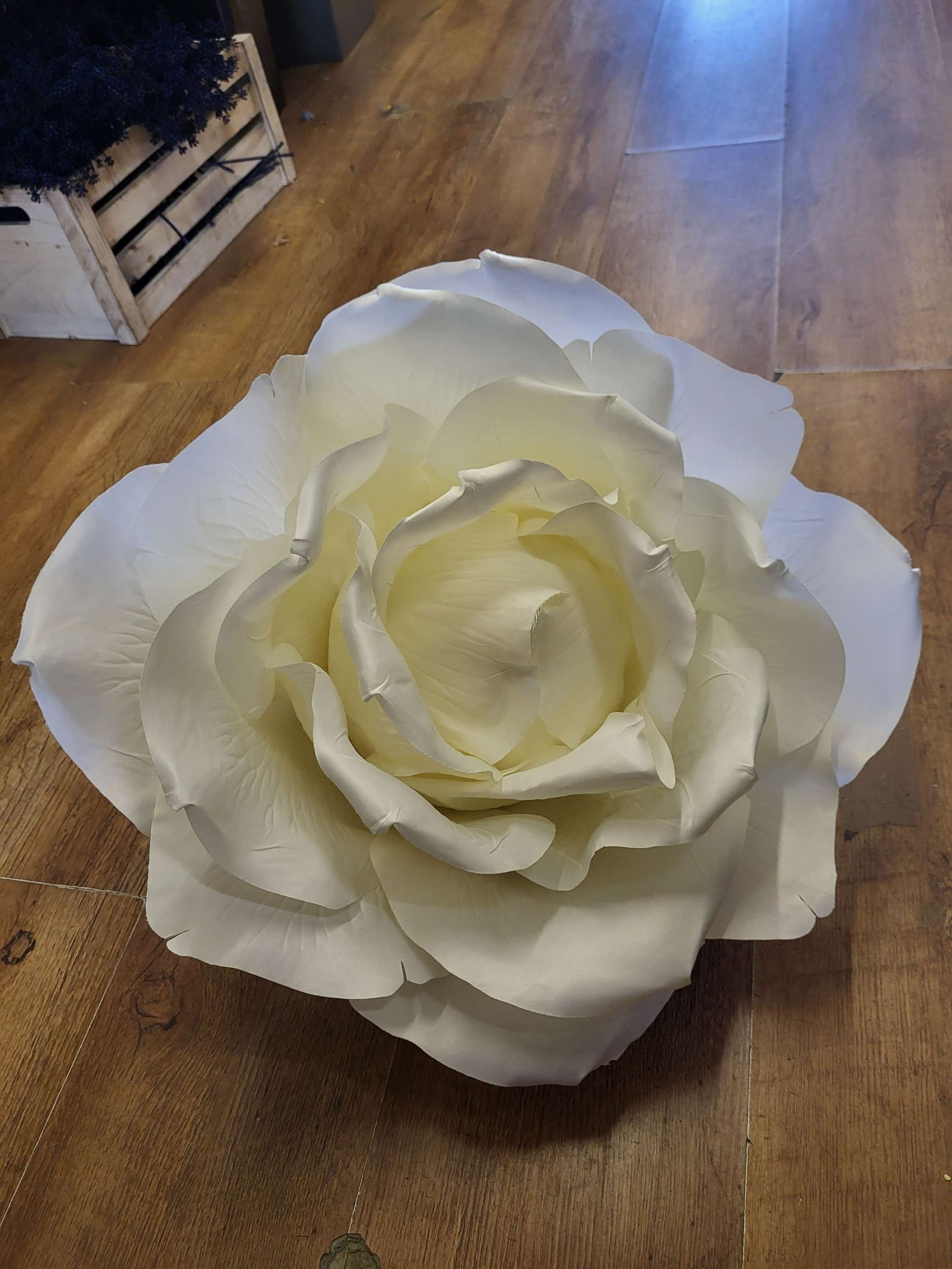 70cm ivory rose head image 0