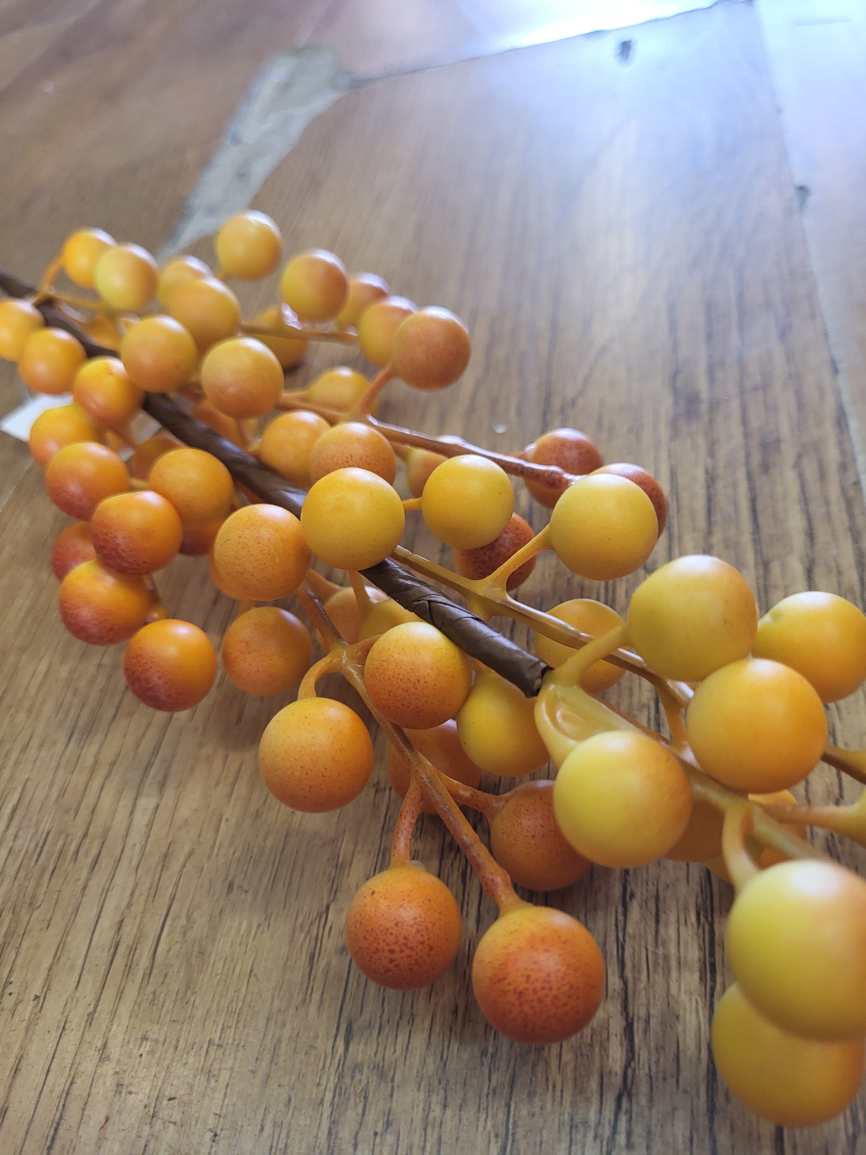 Long stem autumnal yellow berry stem image 1