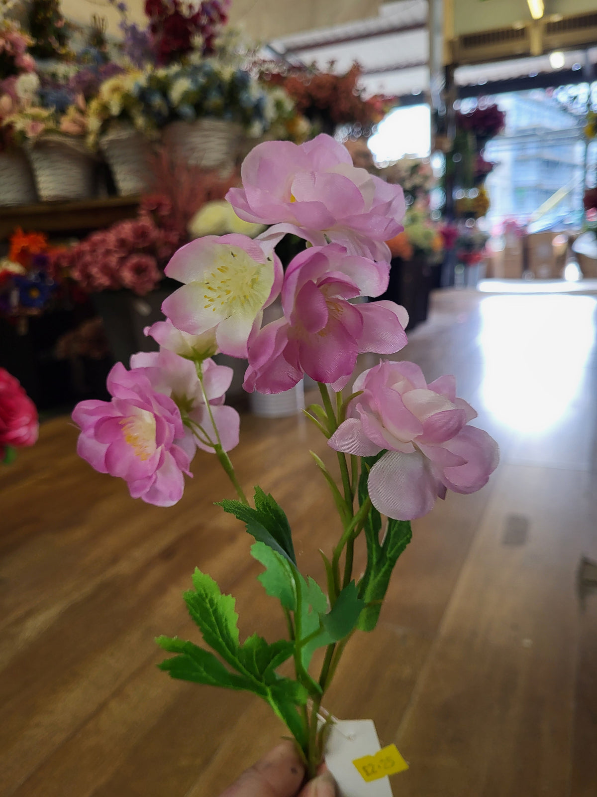 Short stem pink Delia  image 0