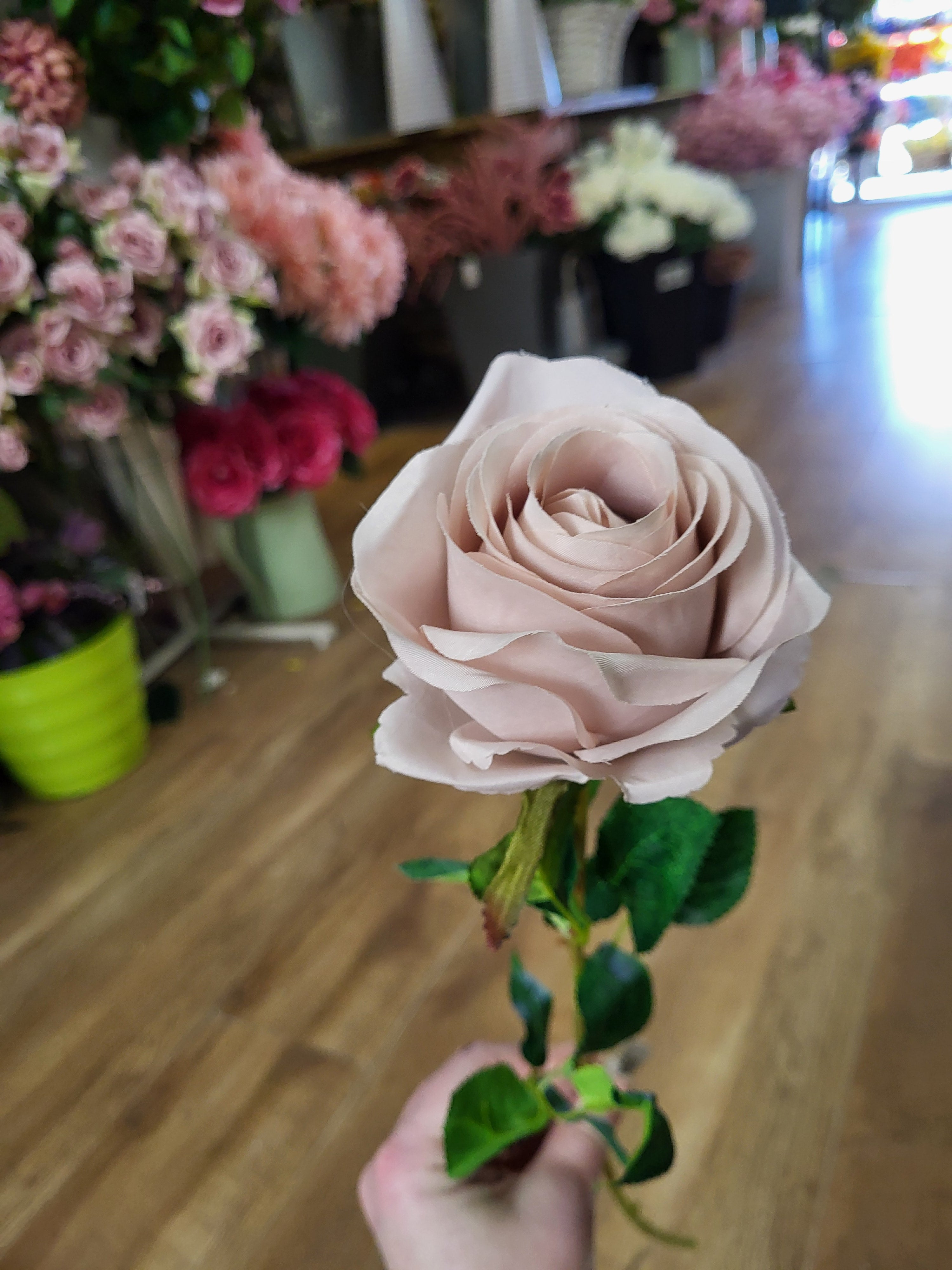 Single Nude Harper rose  image 2