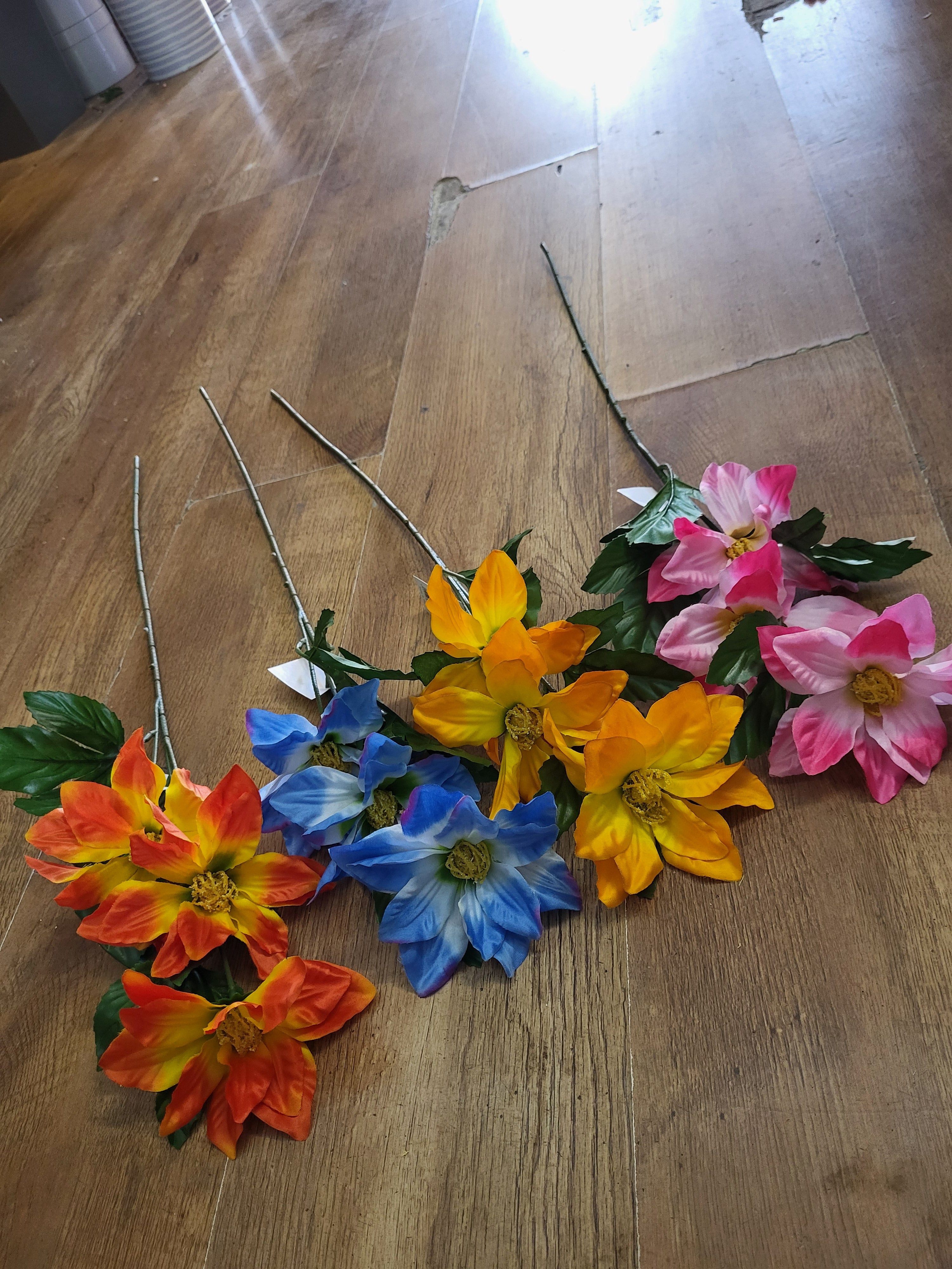 Long stem zinnia - 4 colours available image 0