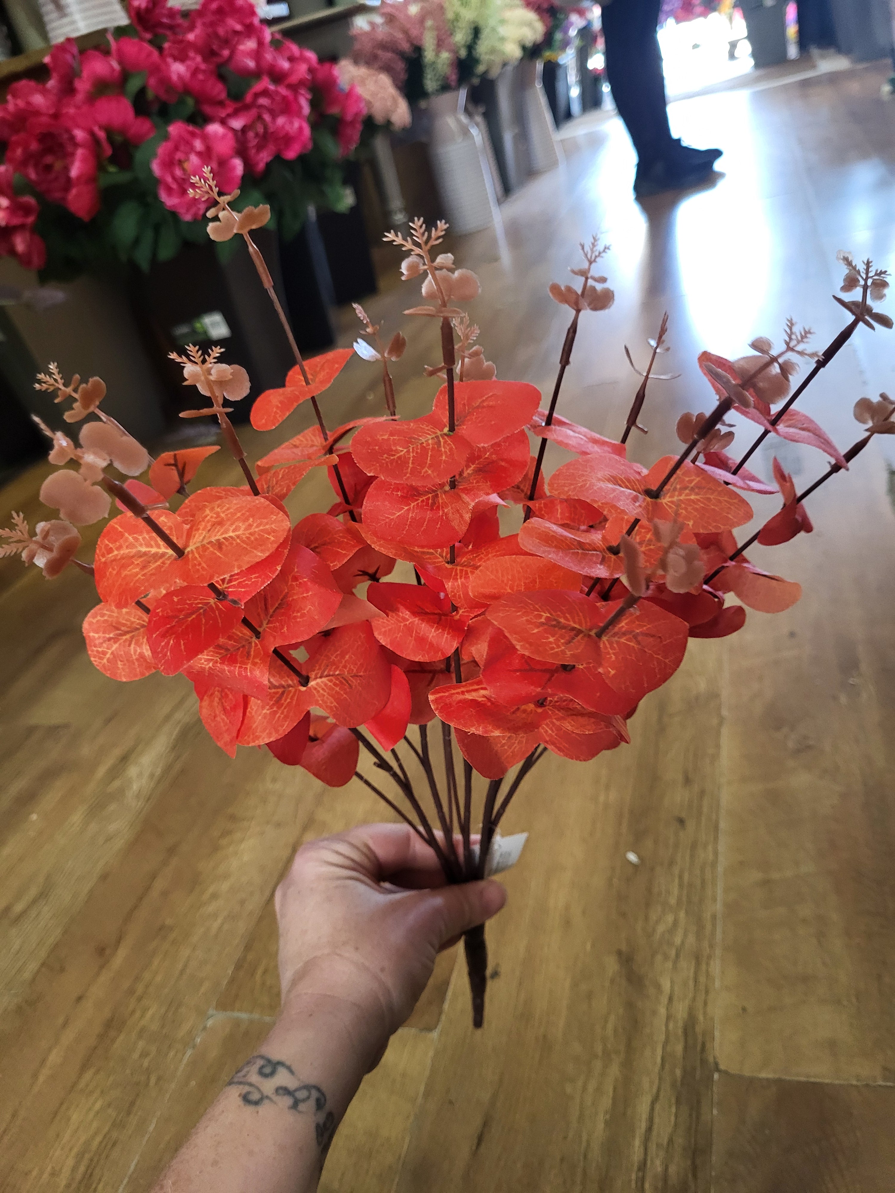 Big bunch Orange eucalyptus  image 1