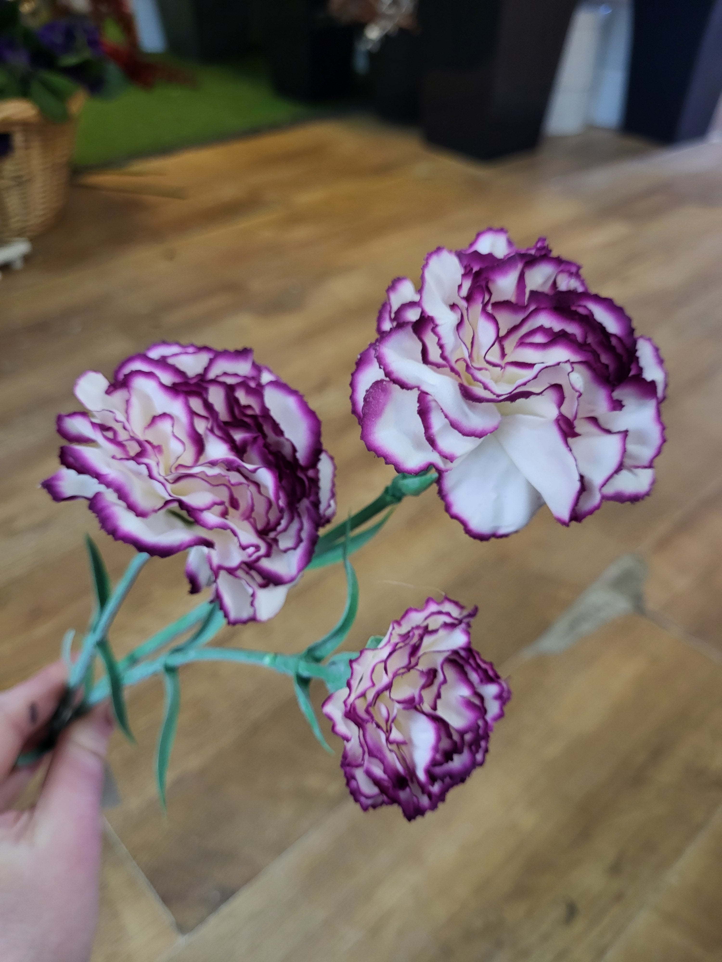 Long stem magenta and white triple head carnation  image 3