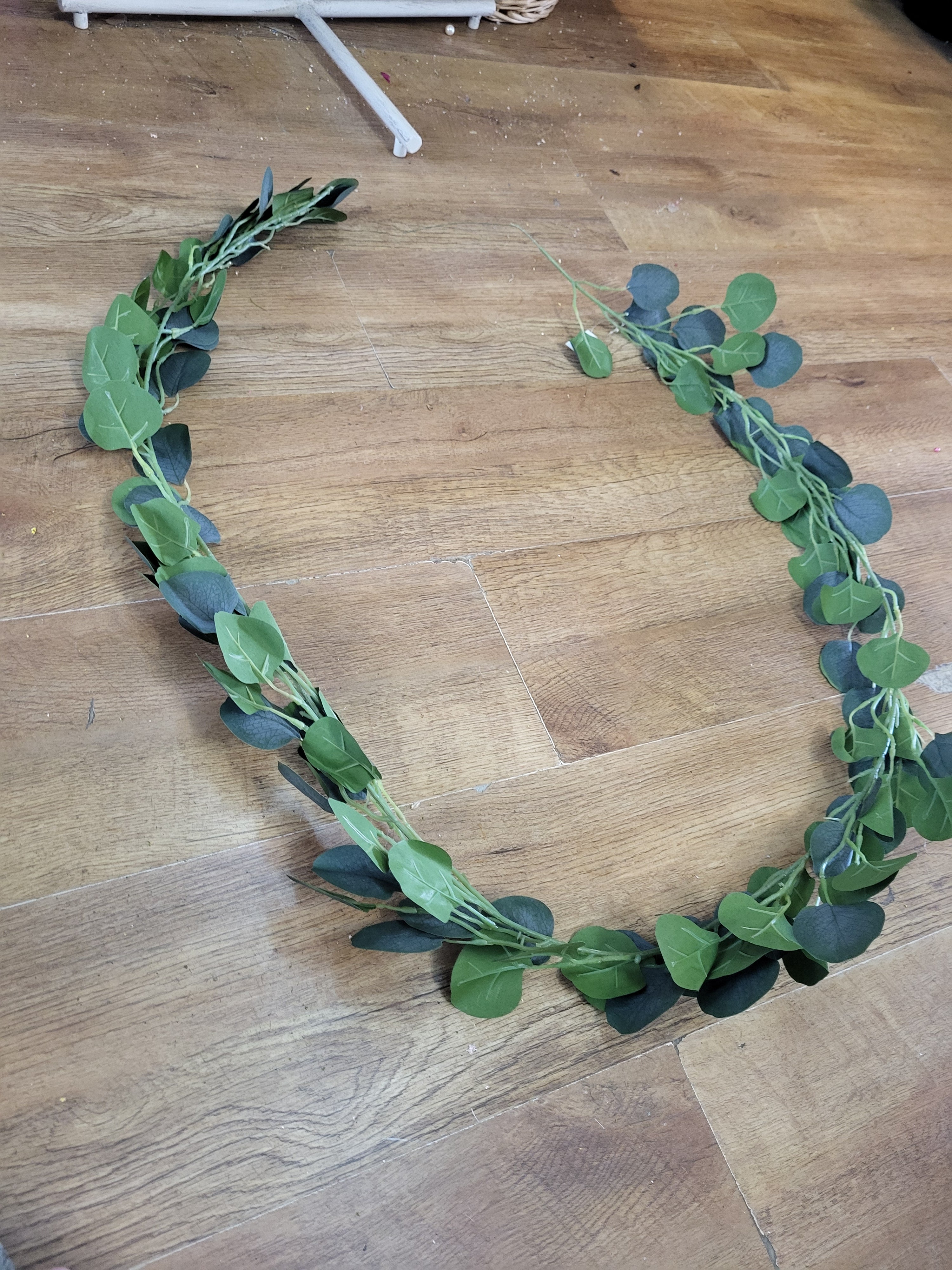 Silver dollar eucalyptus garland  image 5