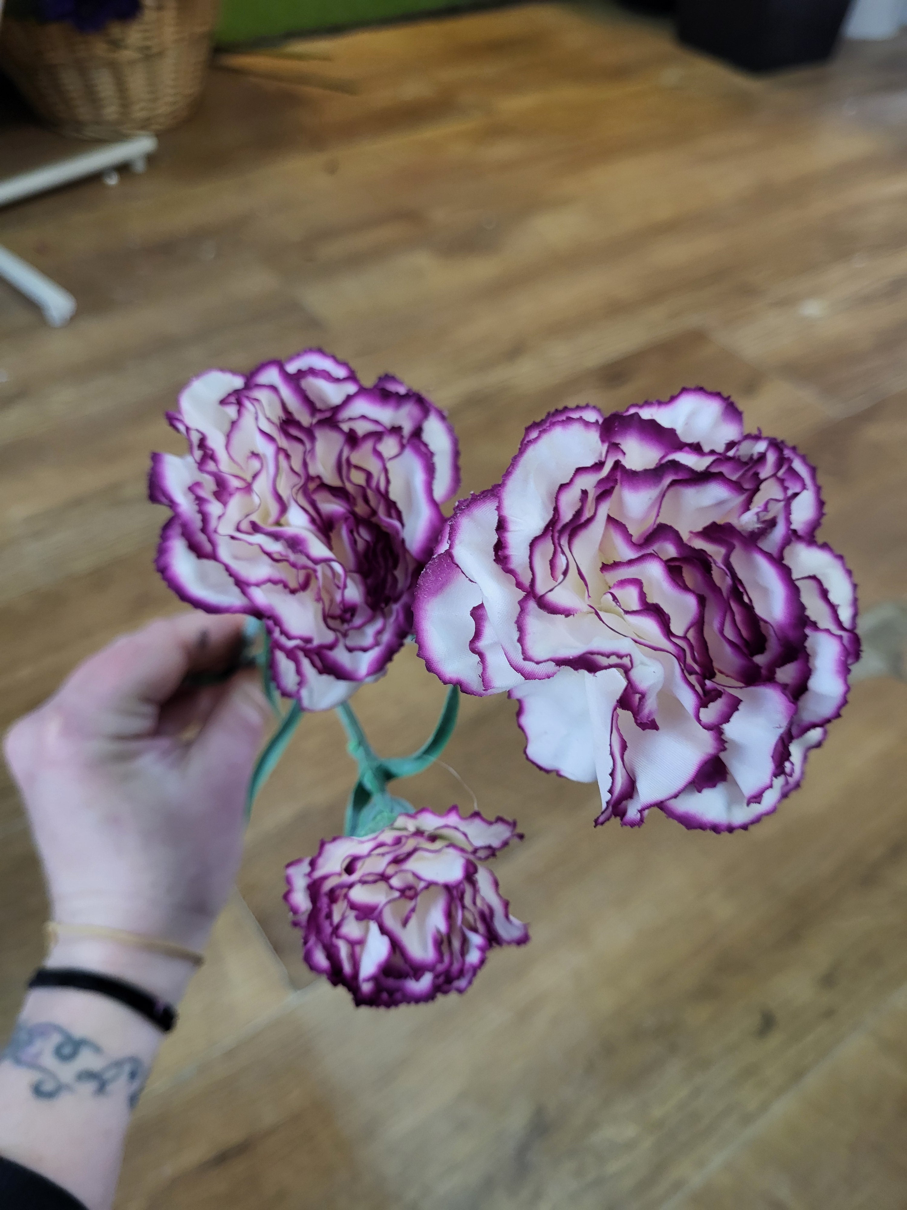 Long stem magenta and white triple head carnation  image 2
