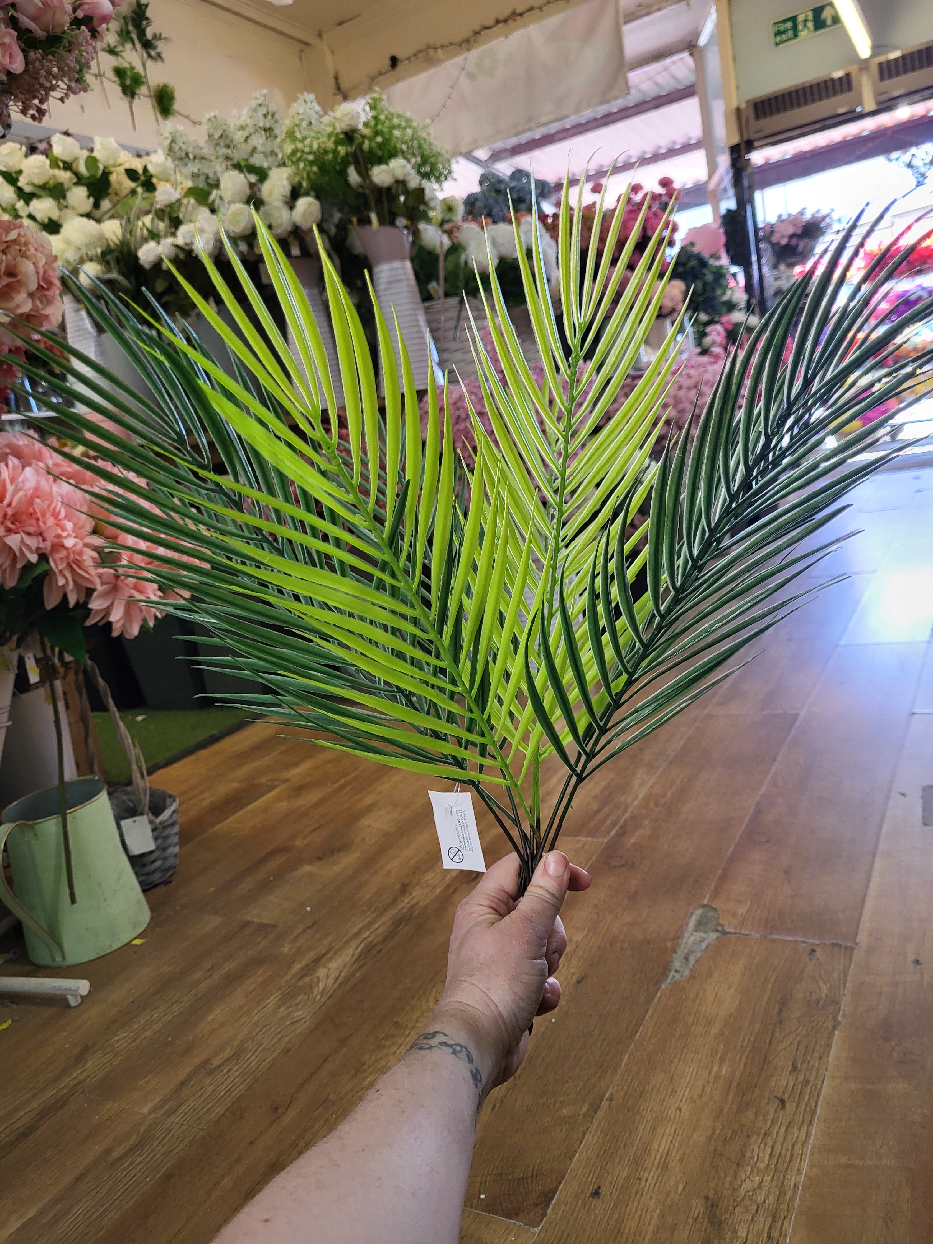 Large mixed green Palm bunch image 3
