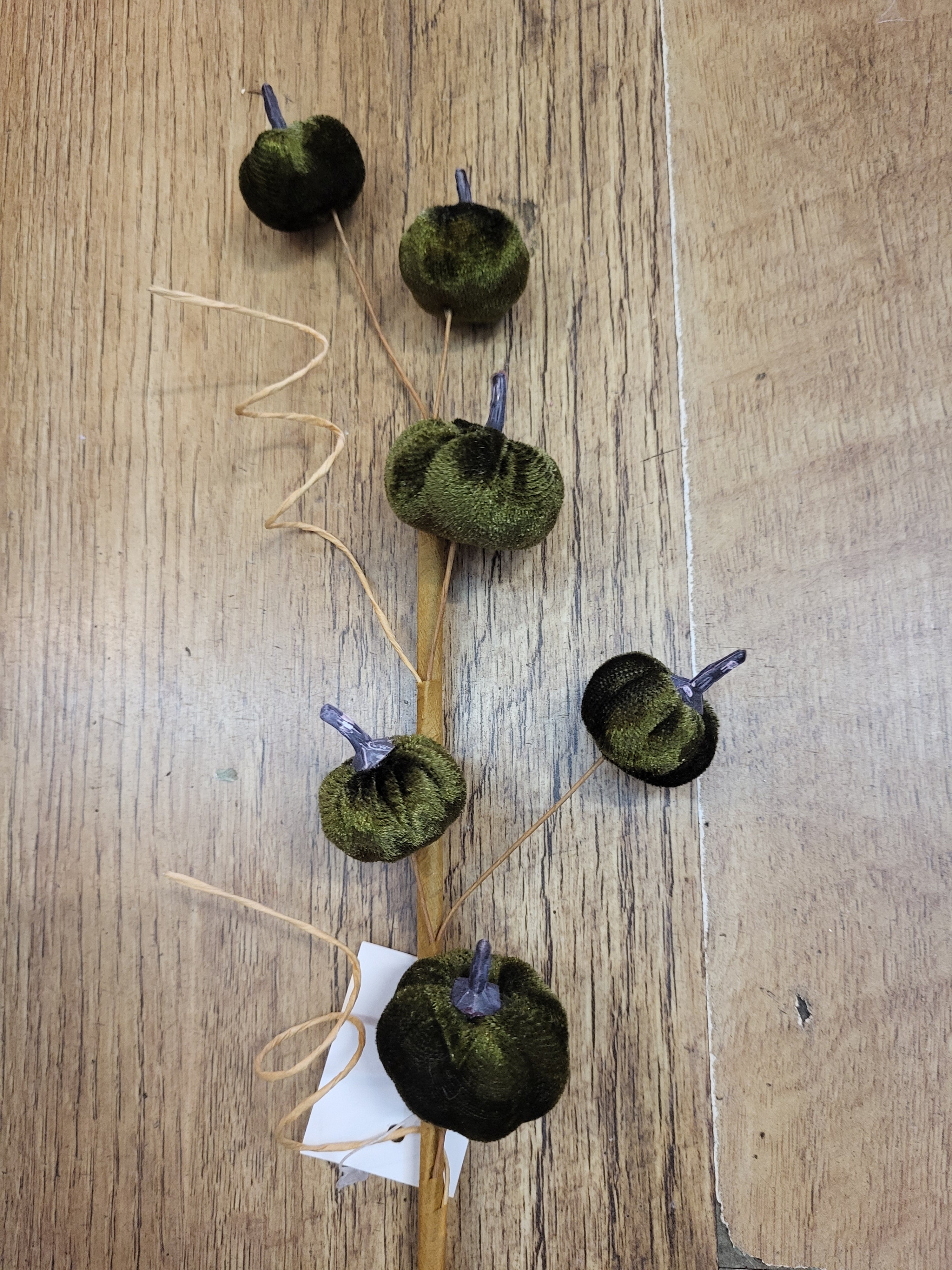 Green velvet miniature pumpkin stem  image 1