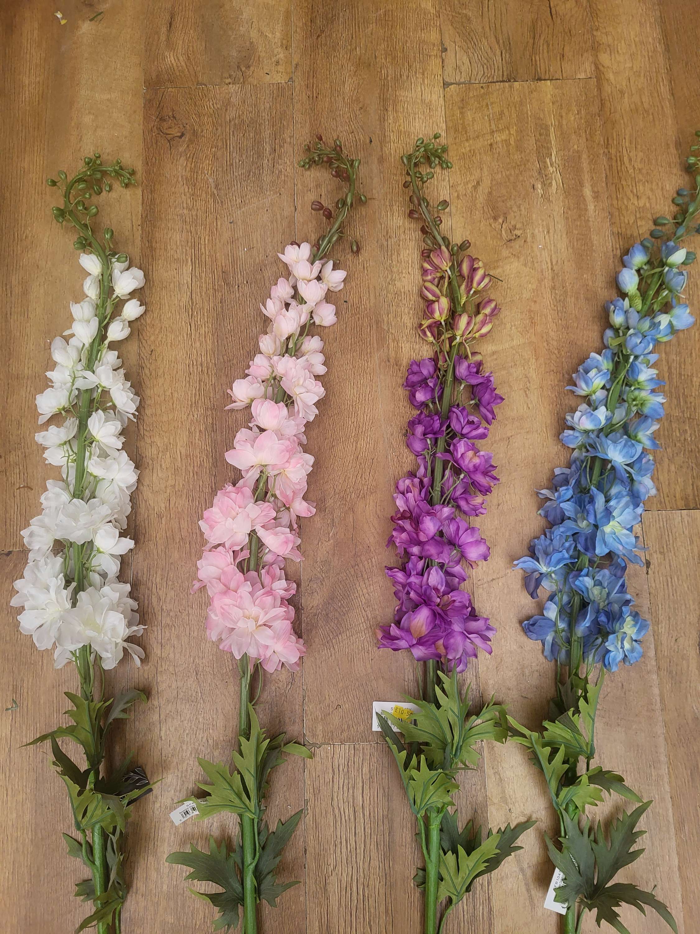 Giant delphiniums!! 137cm tall! - 4 colours available image 2