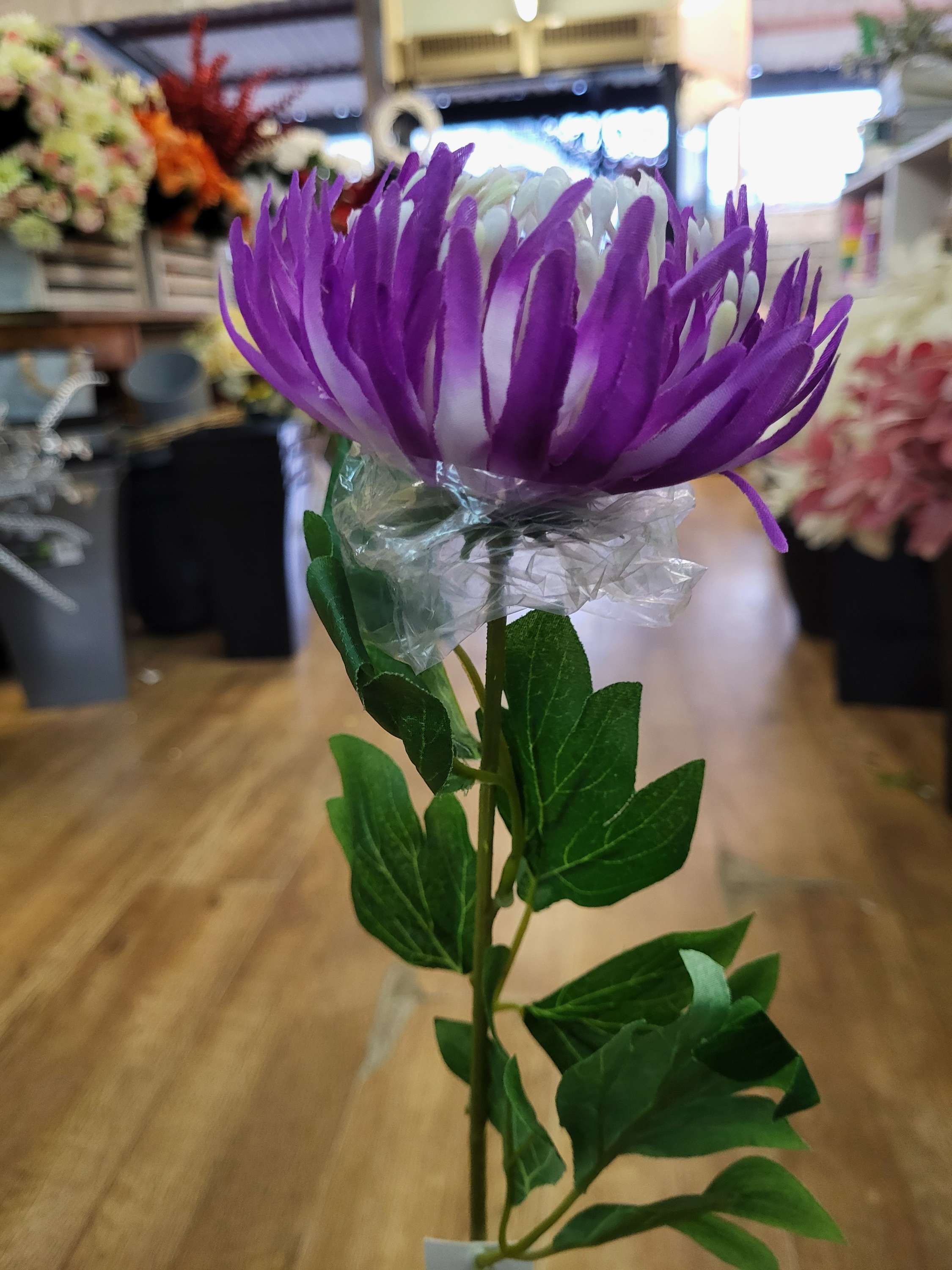 Long stem single chrysanthemum  - 3 colours available image 4