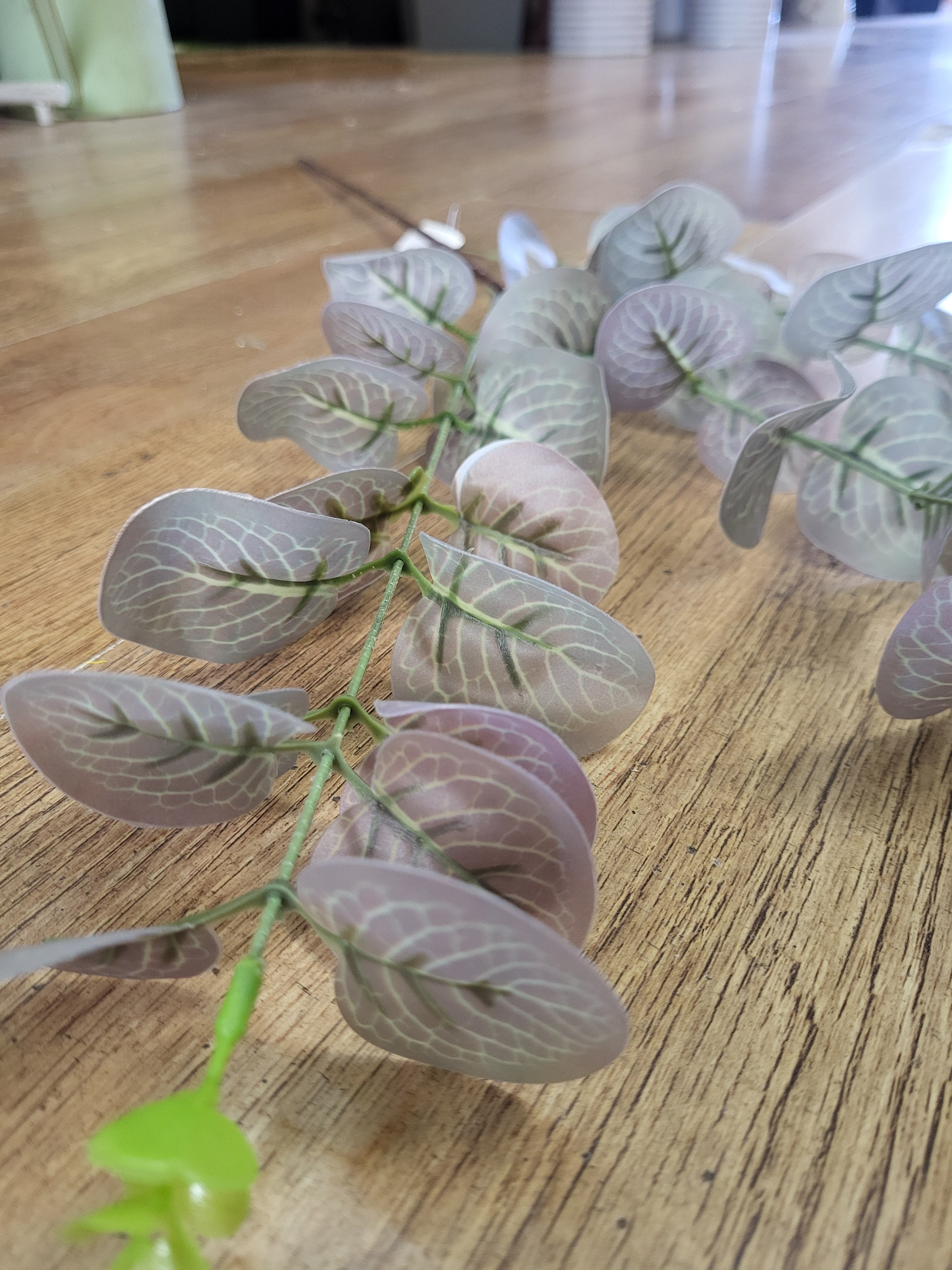 Bundle of 10 85cm long stem eucalyptus spray image 3