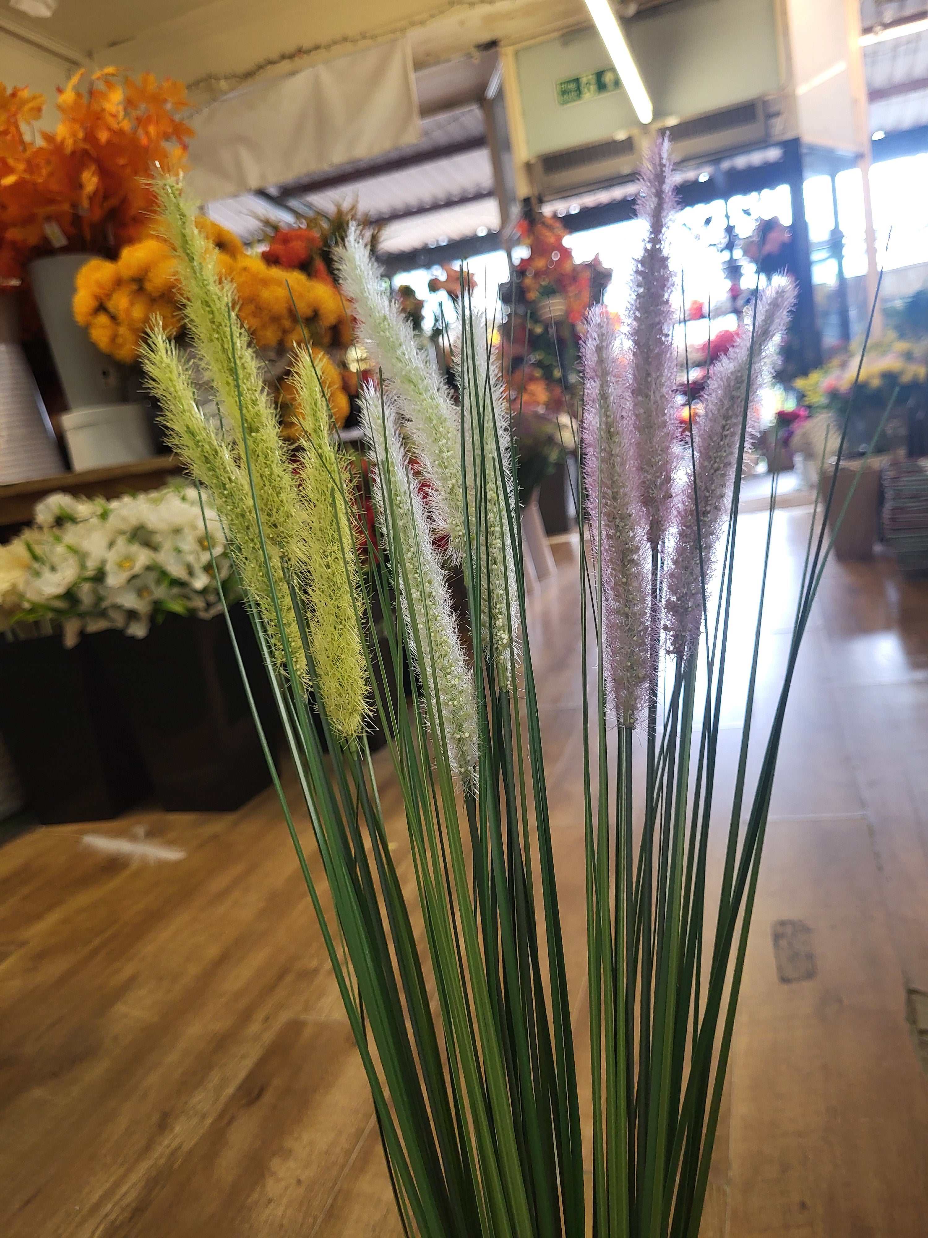 Long stem dog tail grass - 3 colours available image 1