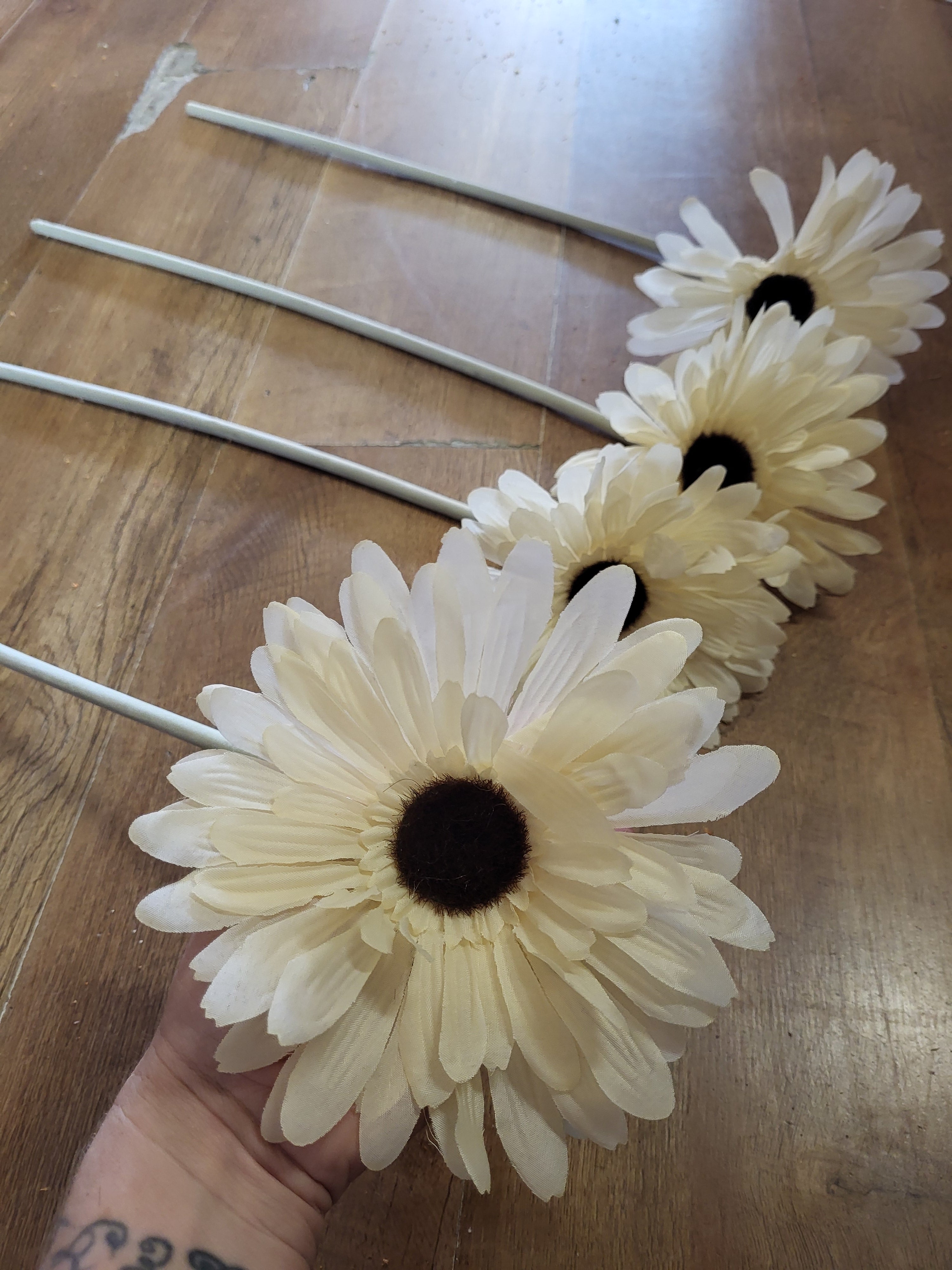Bundle of 4 cream Long stem giant head gerbera image 0